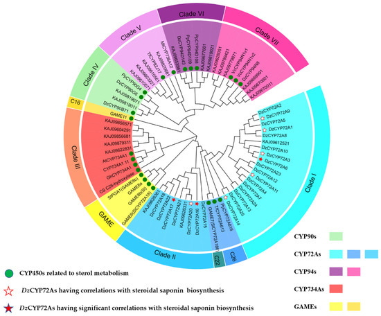 The Functional Characterization of DzCYP72A12-4 Related to