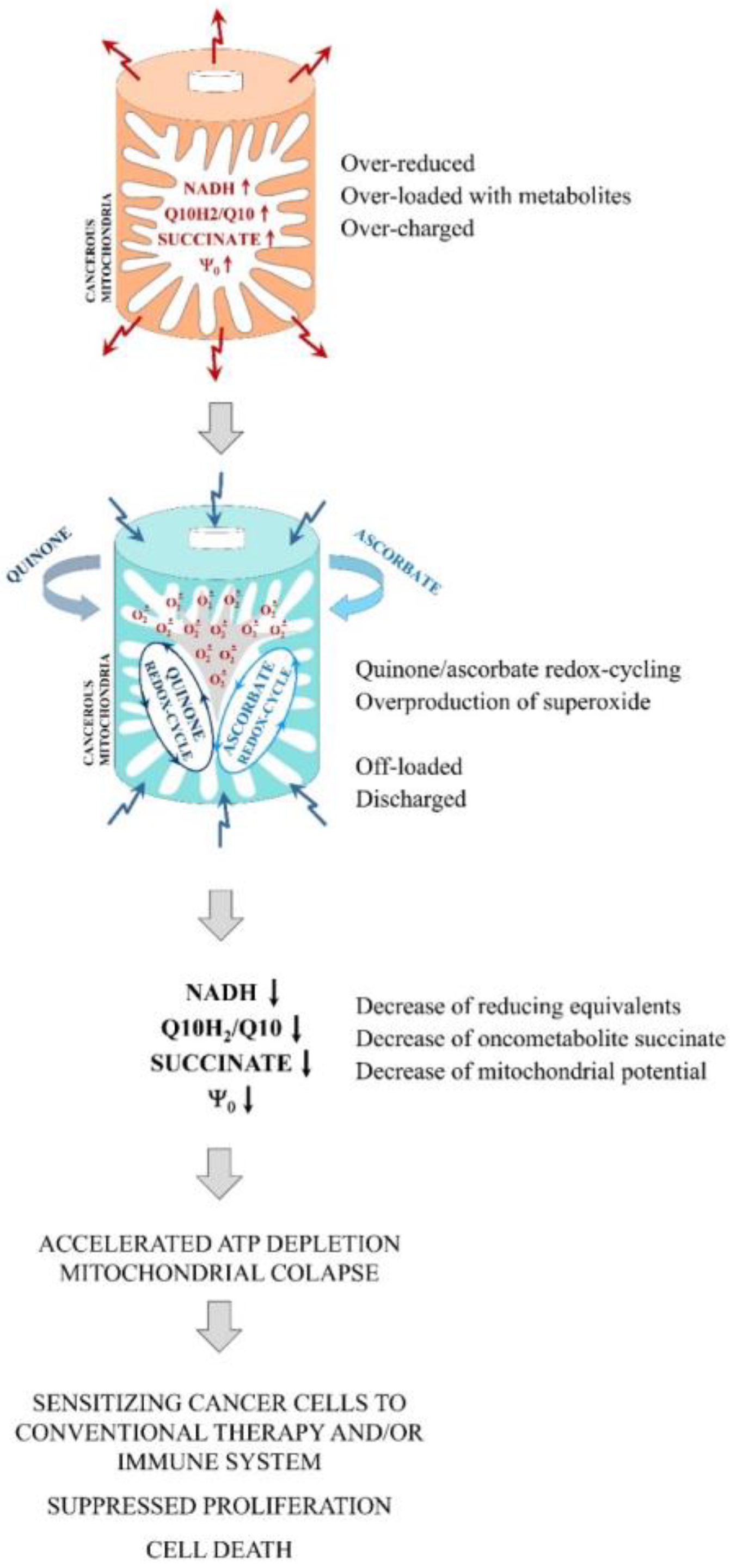 Ijms 24 08435 g001 Ijms 24 08435 g001