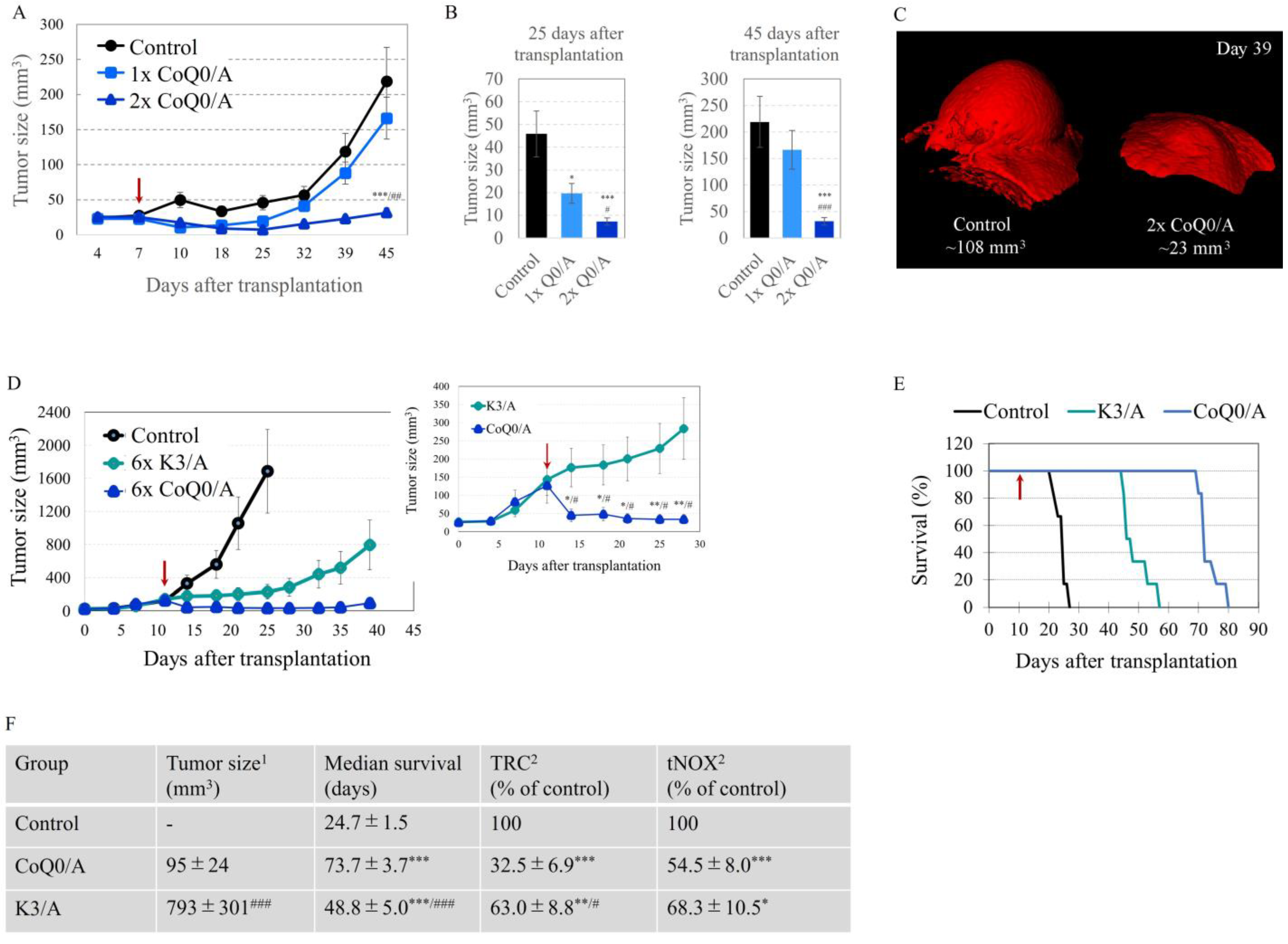 Ijms 24 08435 g004 Ijms 24 08435 g004