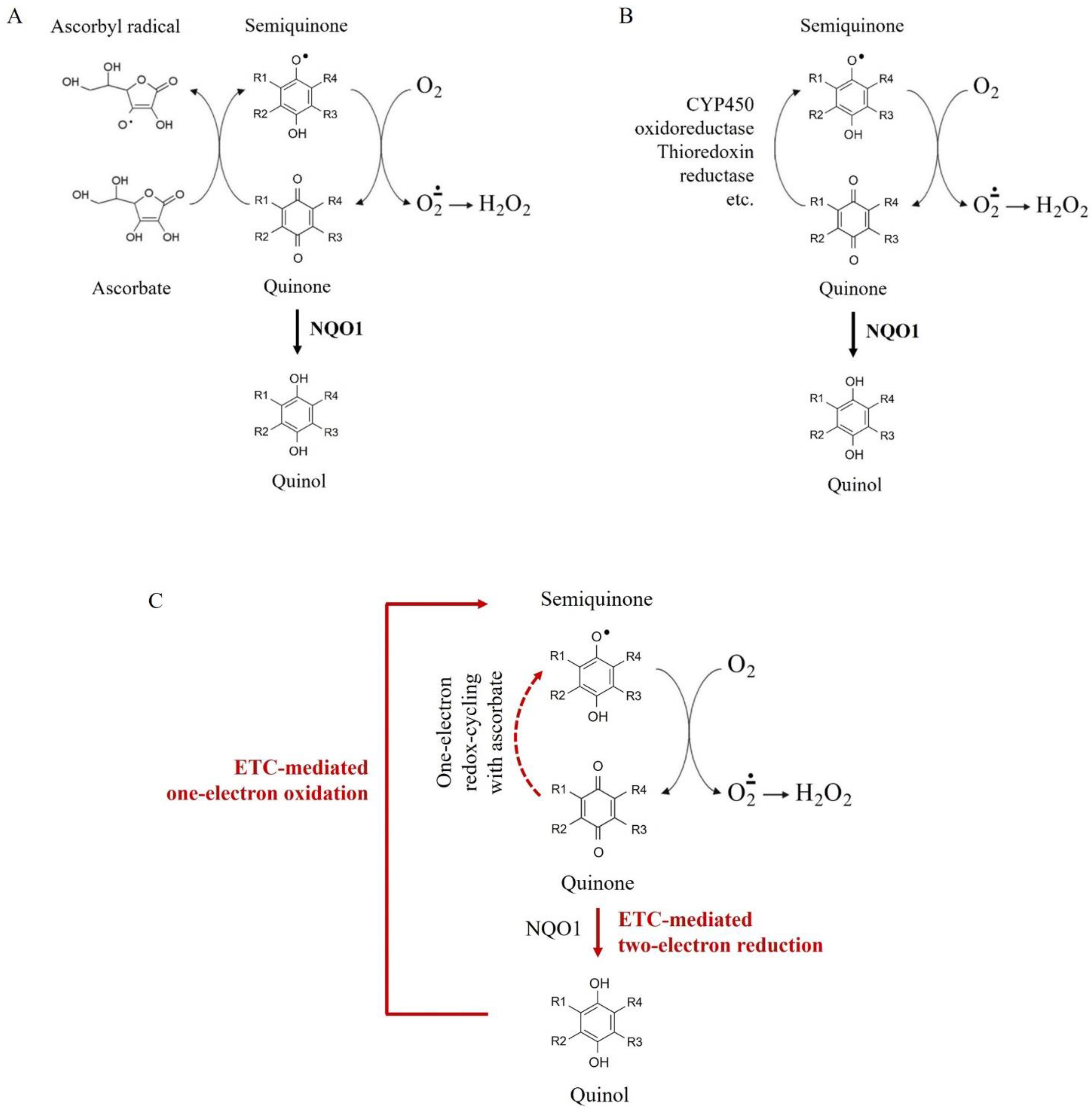 Ijms 24 08435 g005 Ijms 24 08435 g005