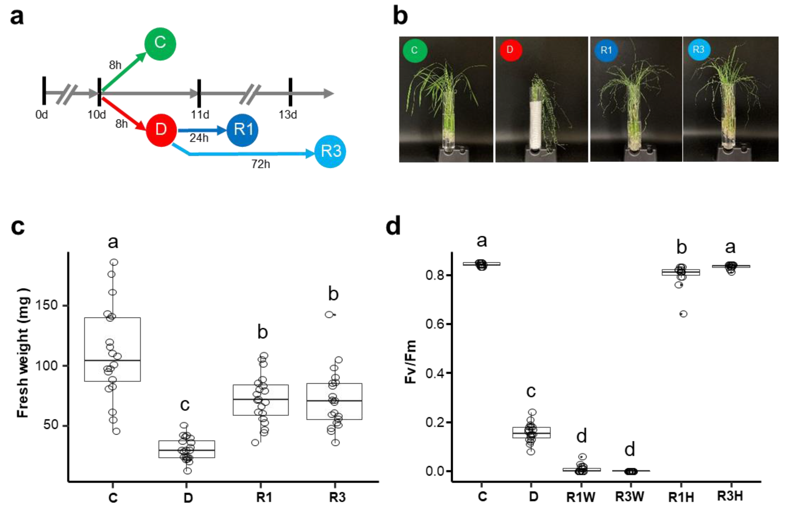 Ijms 24 08439 g001 Ijms 24 08439 g001