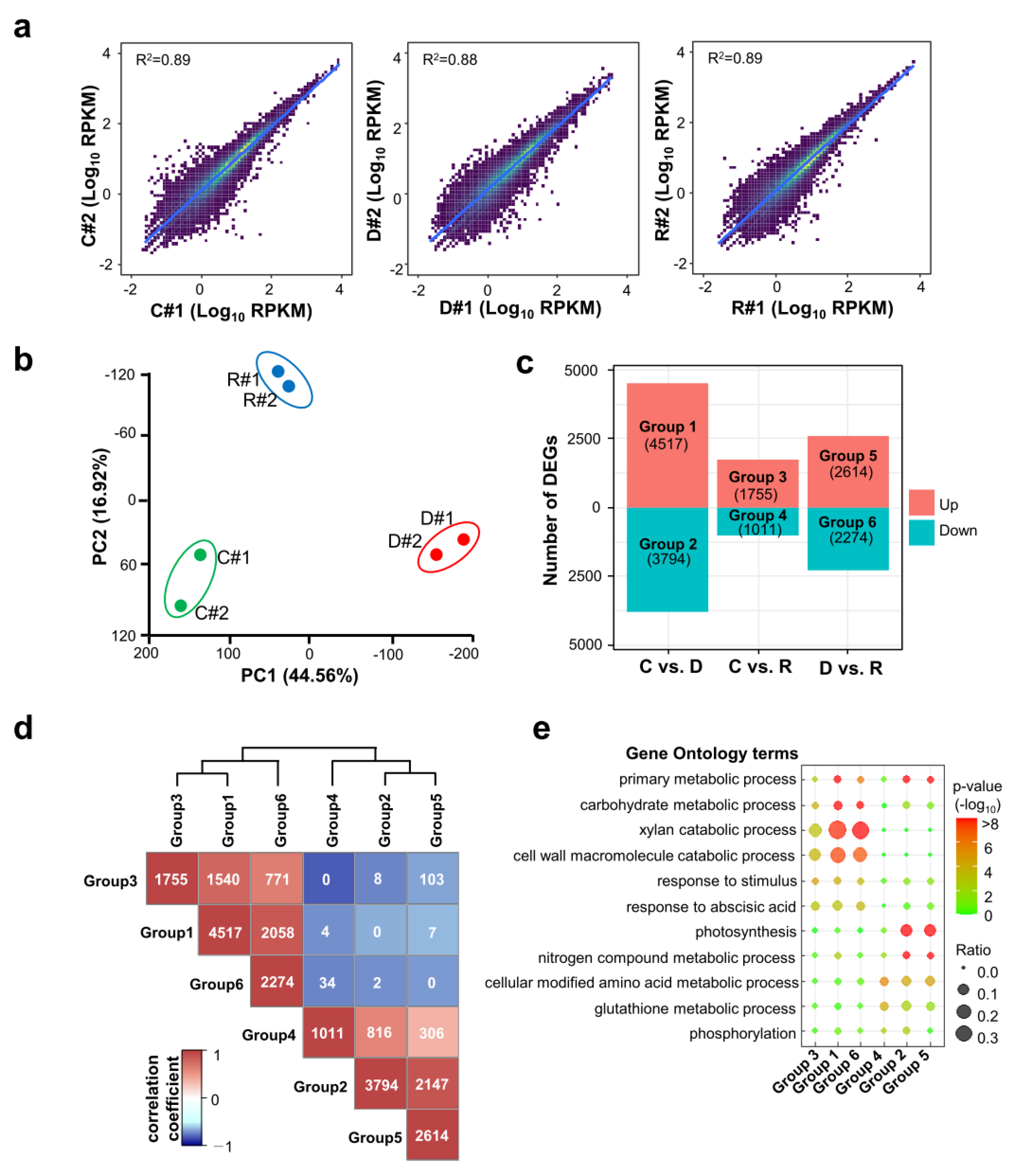 Ijms 24 08439 g002 Ijms 24 08439 g002