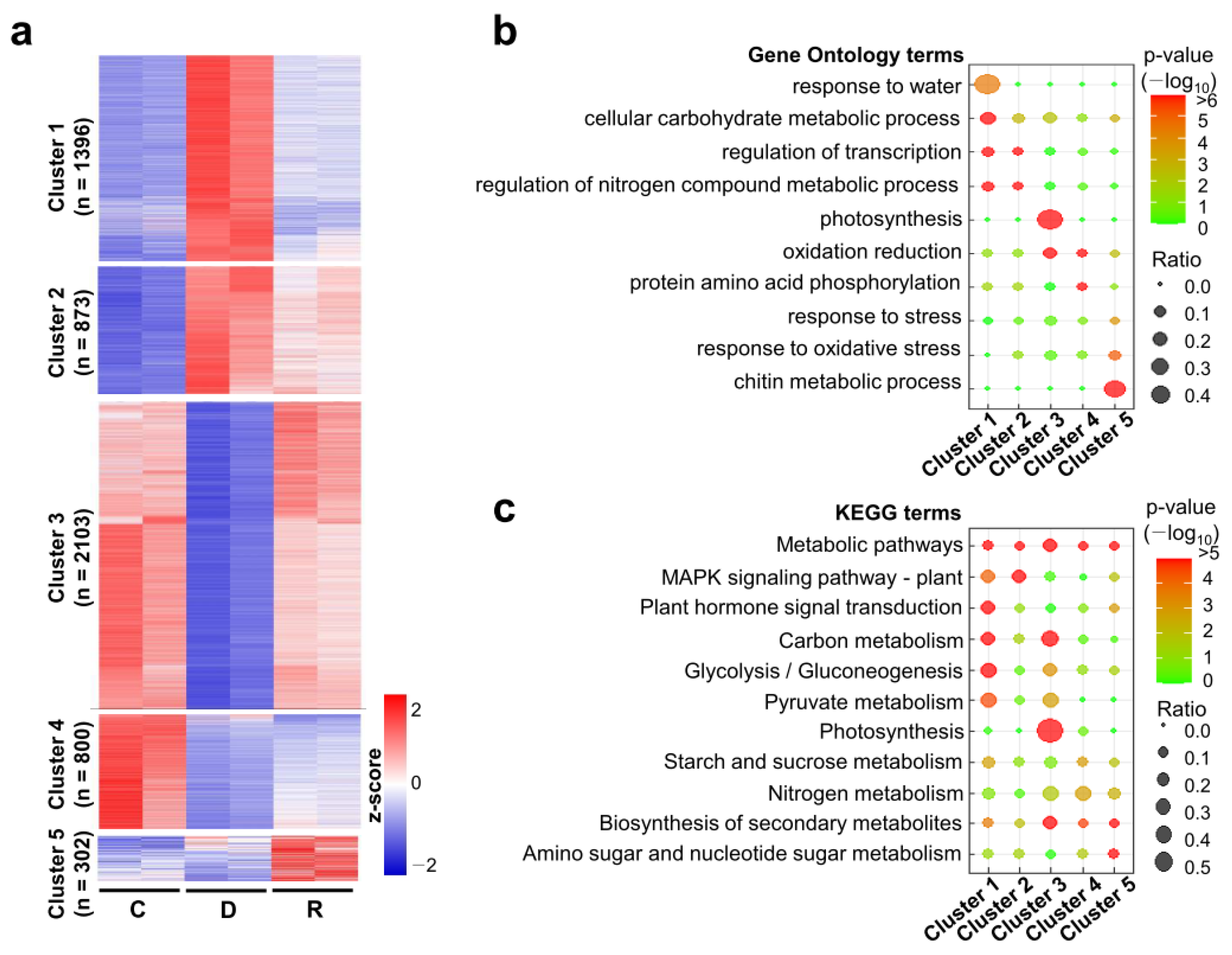 Ijms 24 08439 g003 Ijms 24 08439 g003