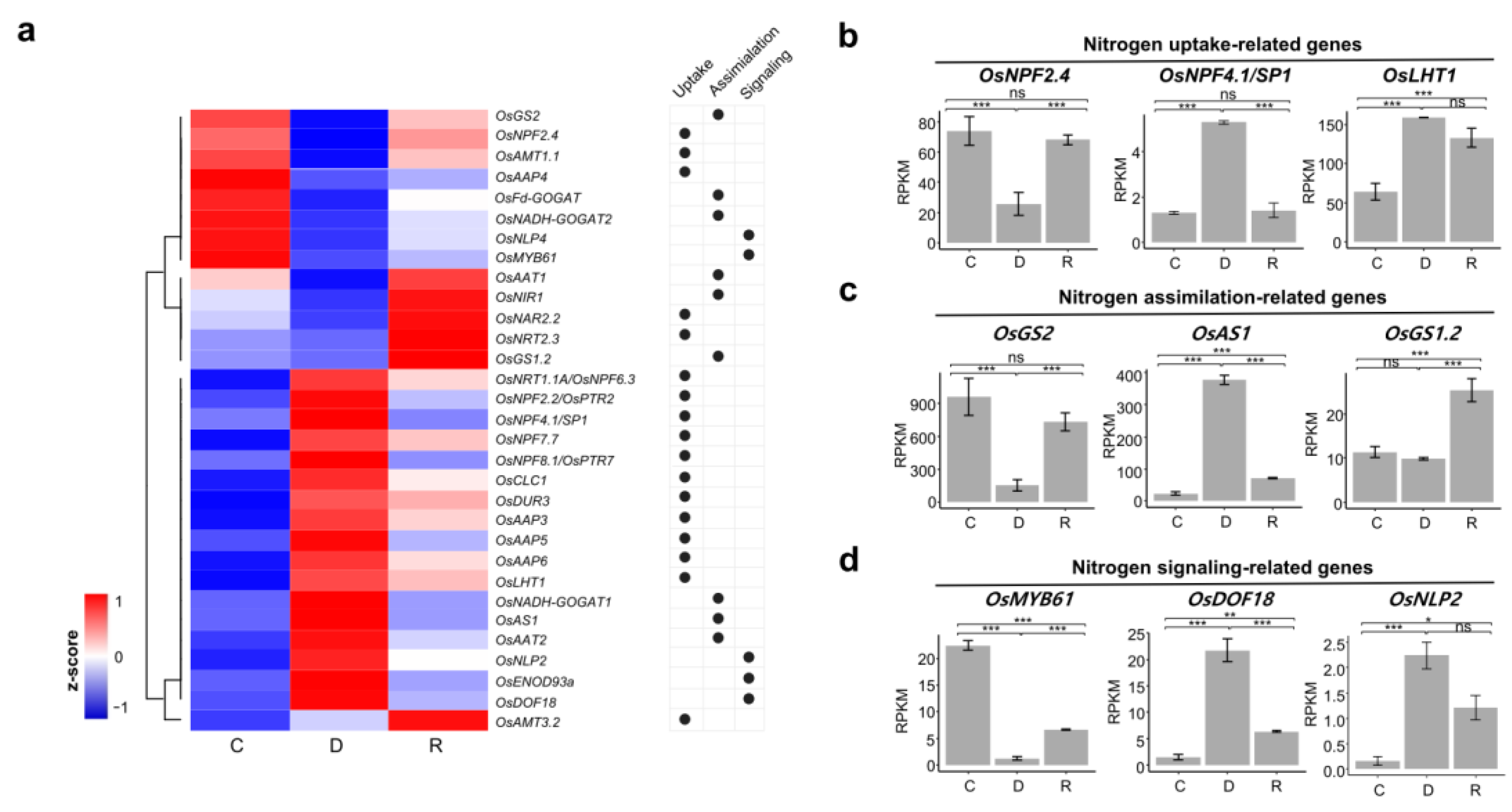 Ijms 24 08439 g005 Ijms 24 08439 g005