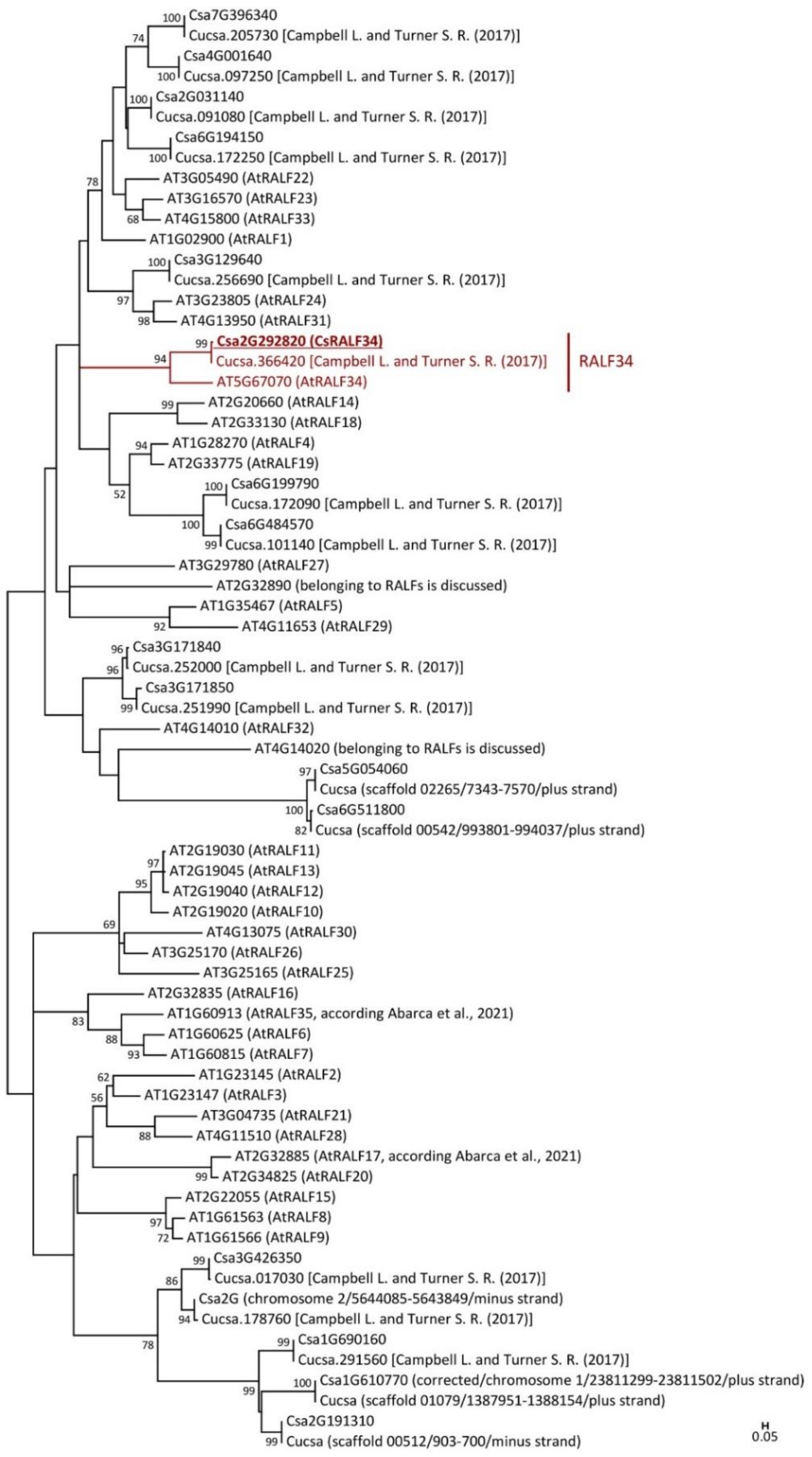 Ijms 24 08440 g001 Ijms 24 08440 g001