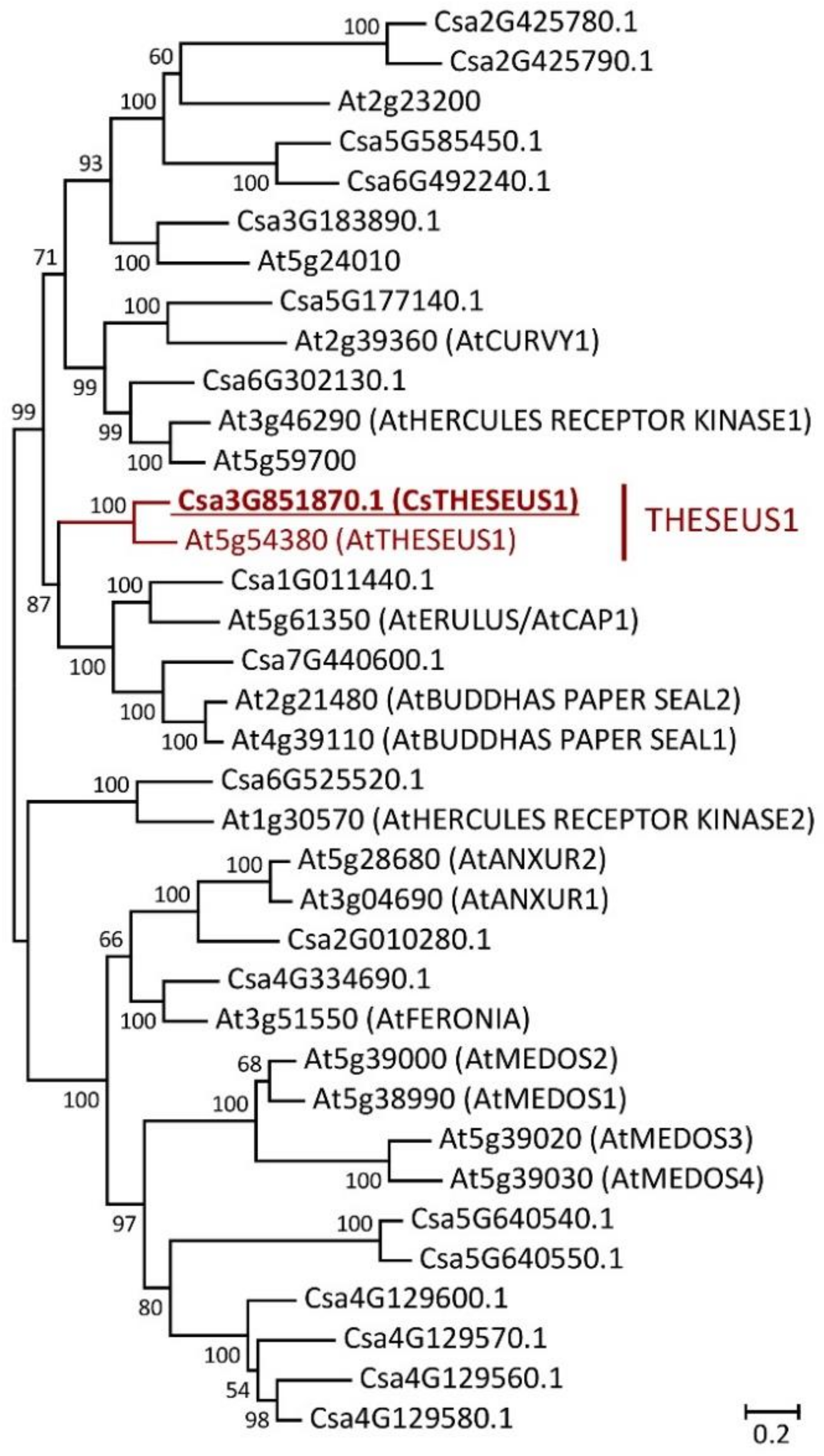 Ijms 24 08440 g002 Ijms 24 08440 g002