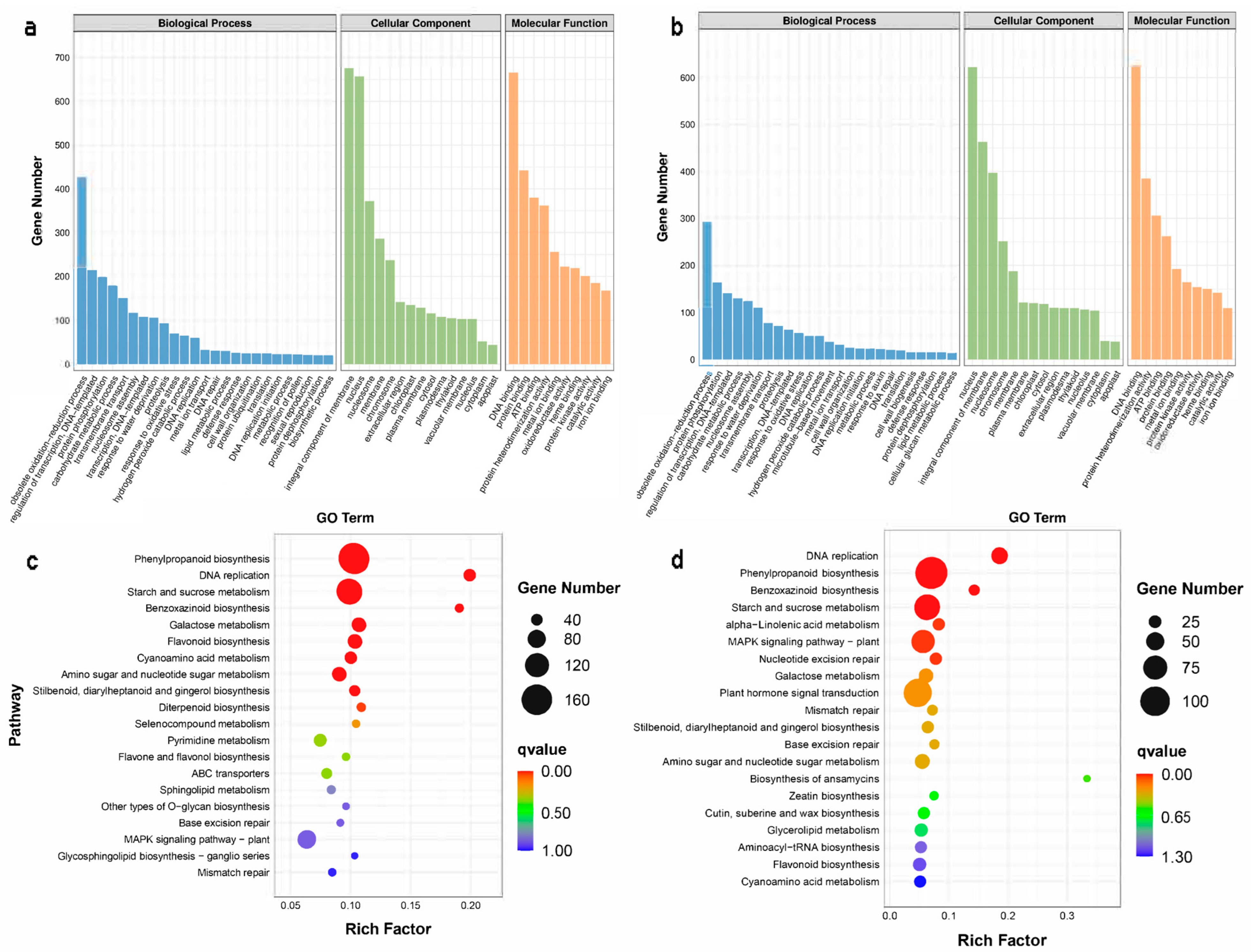 Ijms 24 08449 g003 Ijms 24 08449 g003