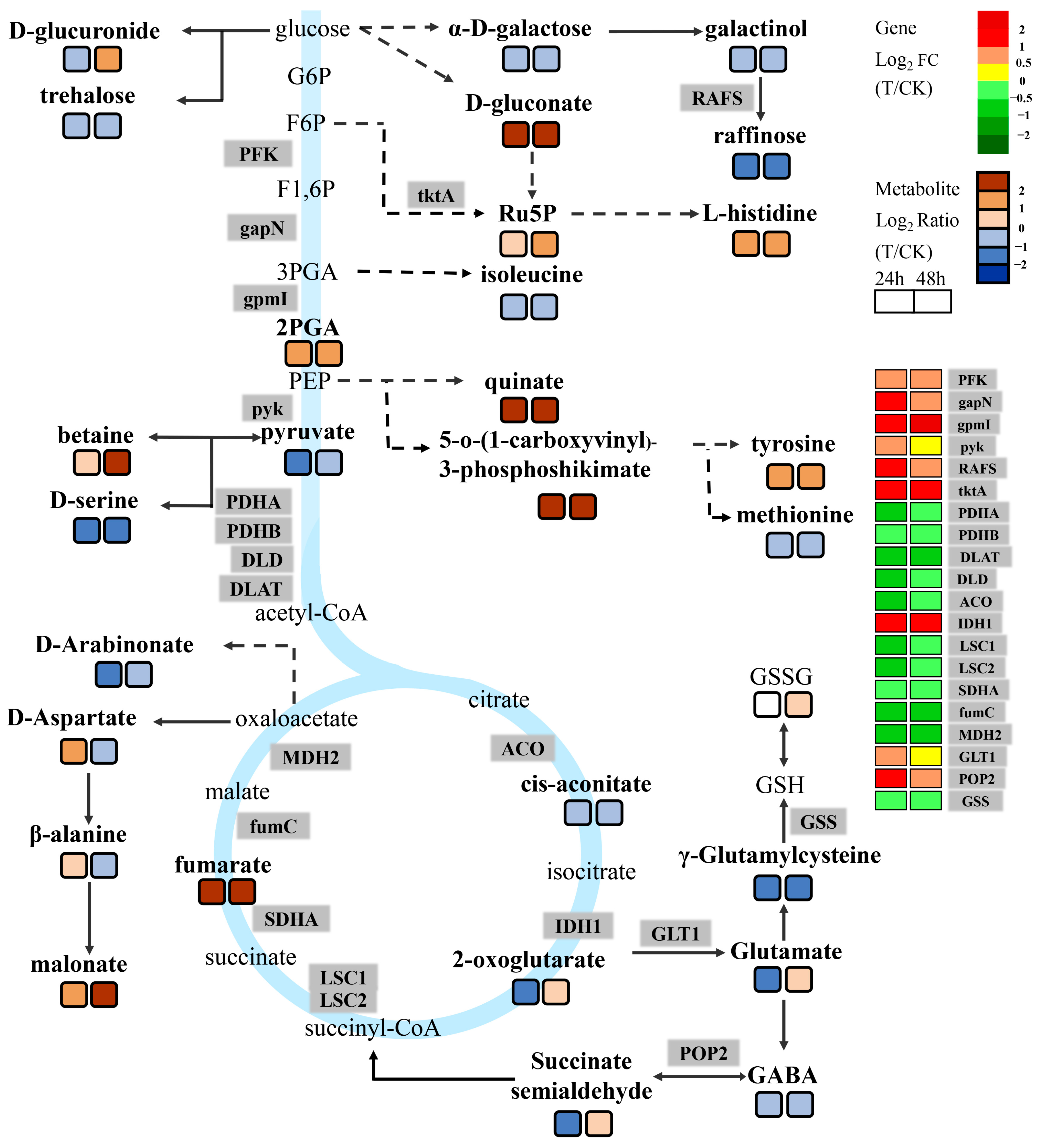 Ijms 24 08449 g005 Ijms 24 08449 g005