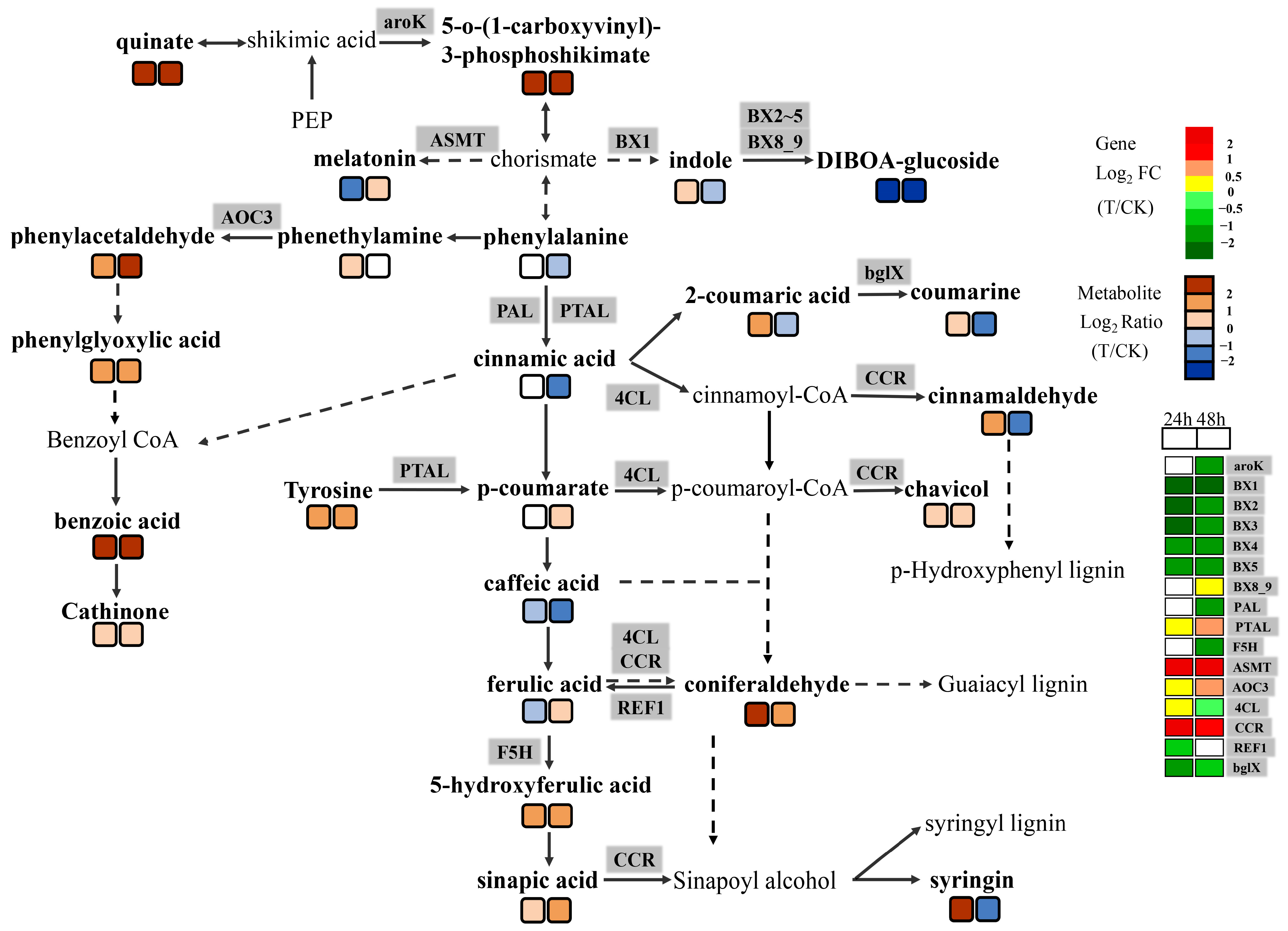 Ijms 24 08449 g006 Ijms 24 08449 g006