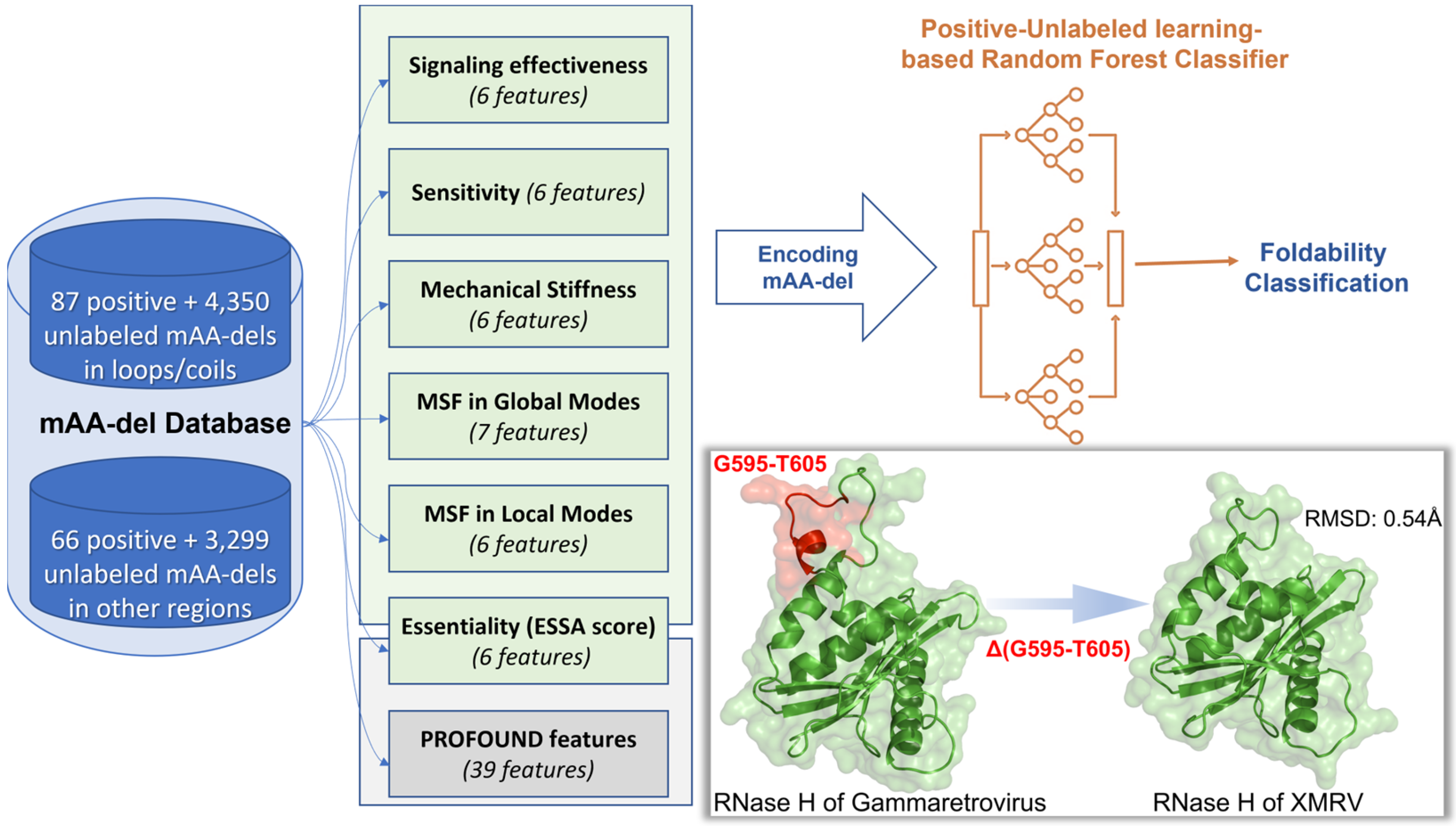 Ijms 24 08450 g001 Ijms 24 08450 g001