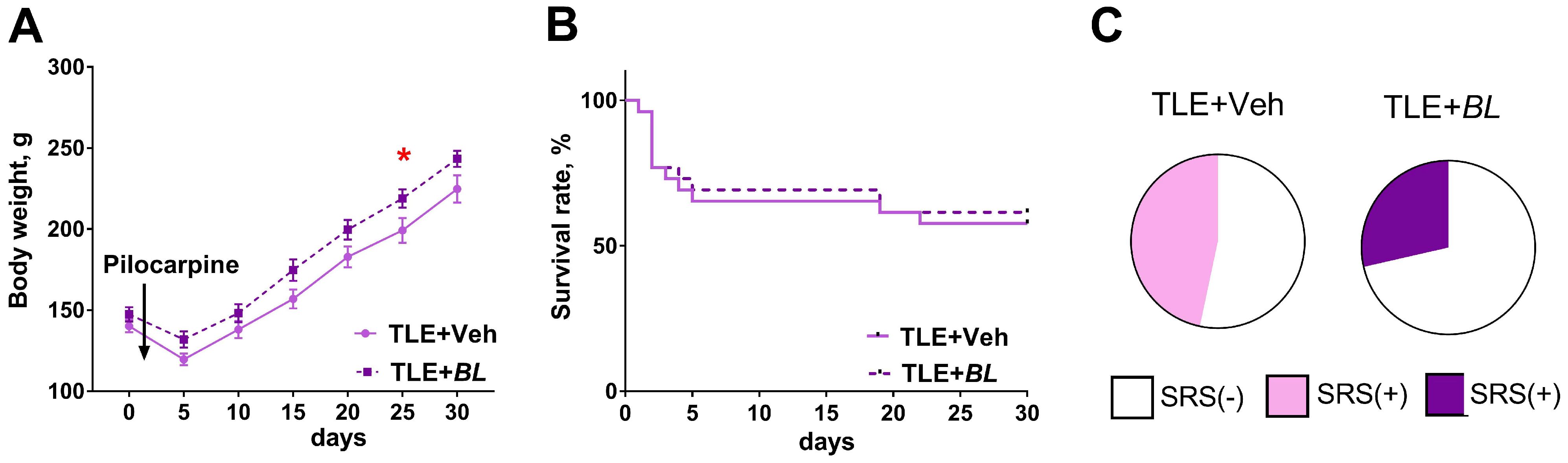 IJMS Free Full-Text Beneficial Effects of Probiotic Bifidobacterium longum in a Lithiumandndash;Pilocarpine Model of Temporal Lobe Epilepsy in Rats