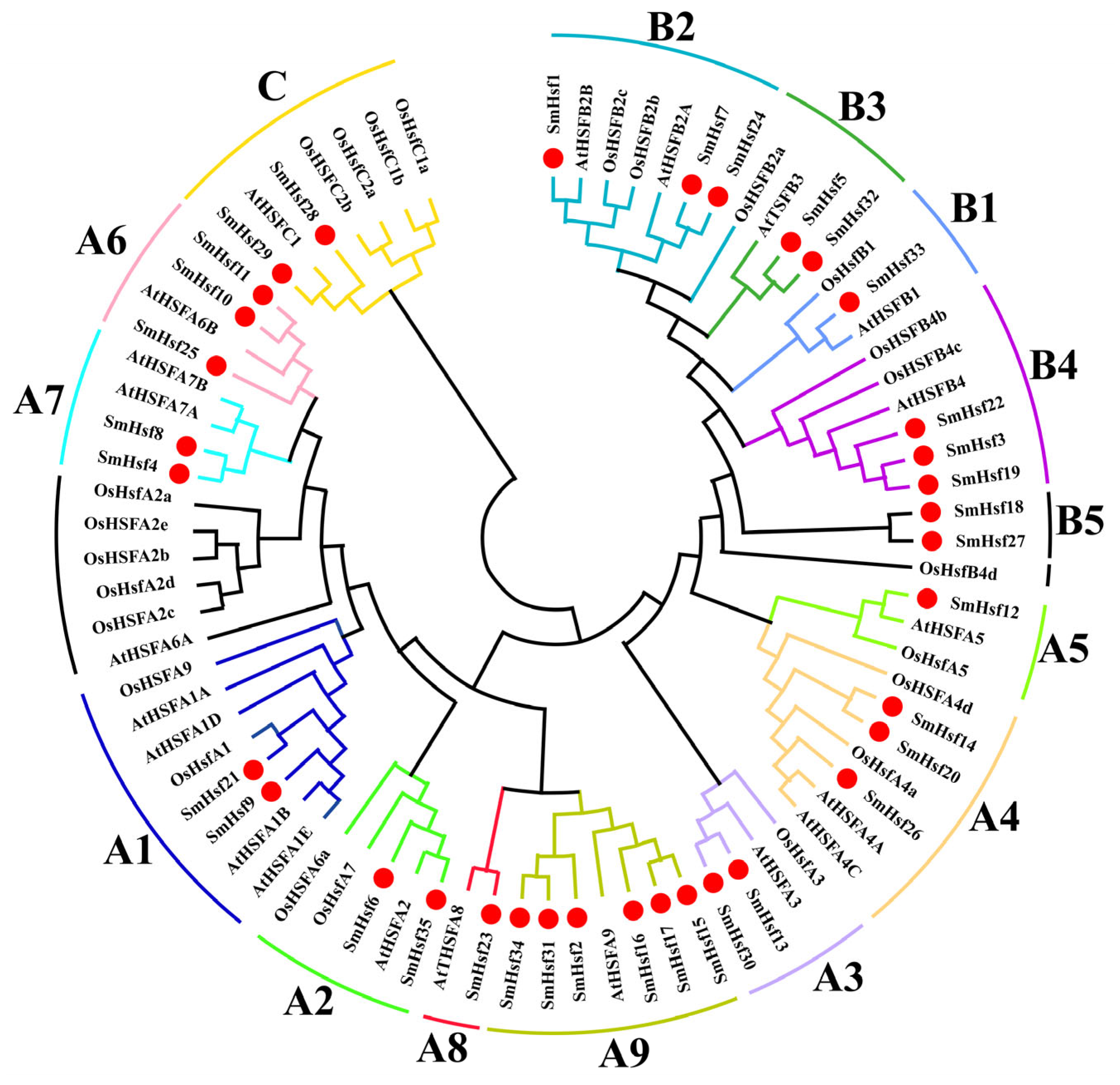 Ijms 24 08461 g002 Ijms 24 08461 g002