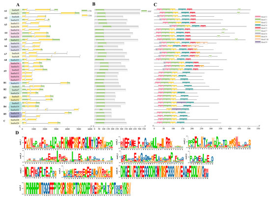 Genome-Wide Characterization and Expression of the Hsf Gene Family in ...