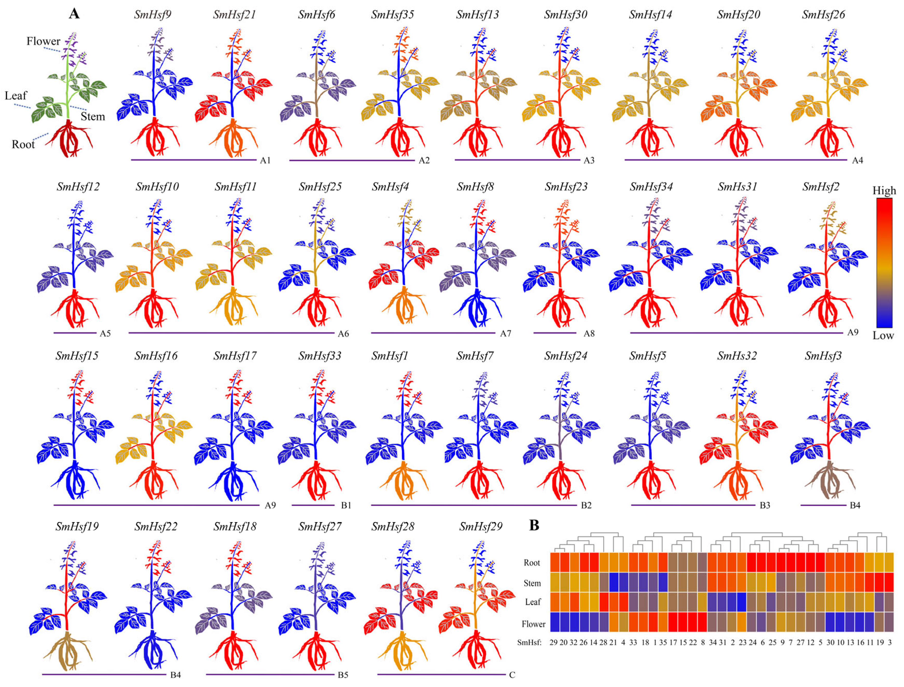 Ijms 24 08461 g008 Ijms 24 08461 g008