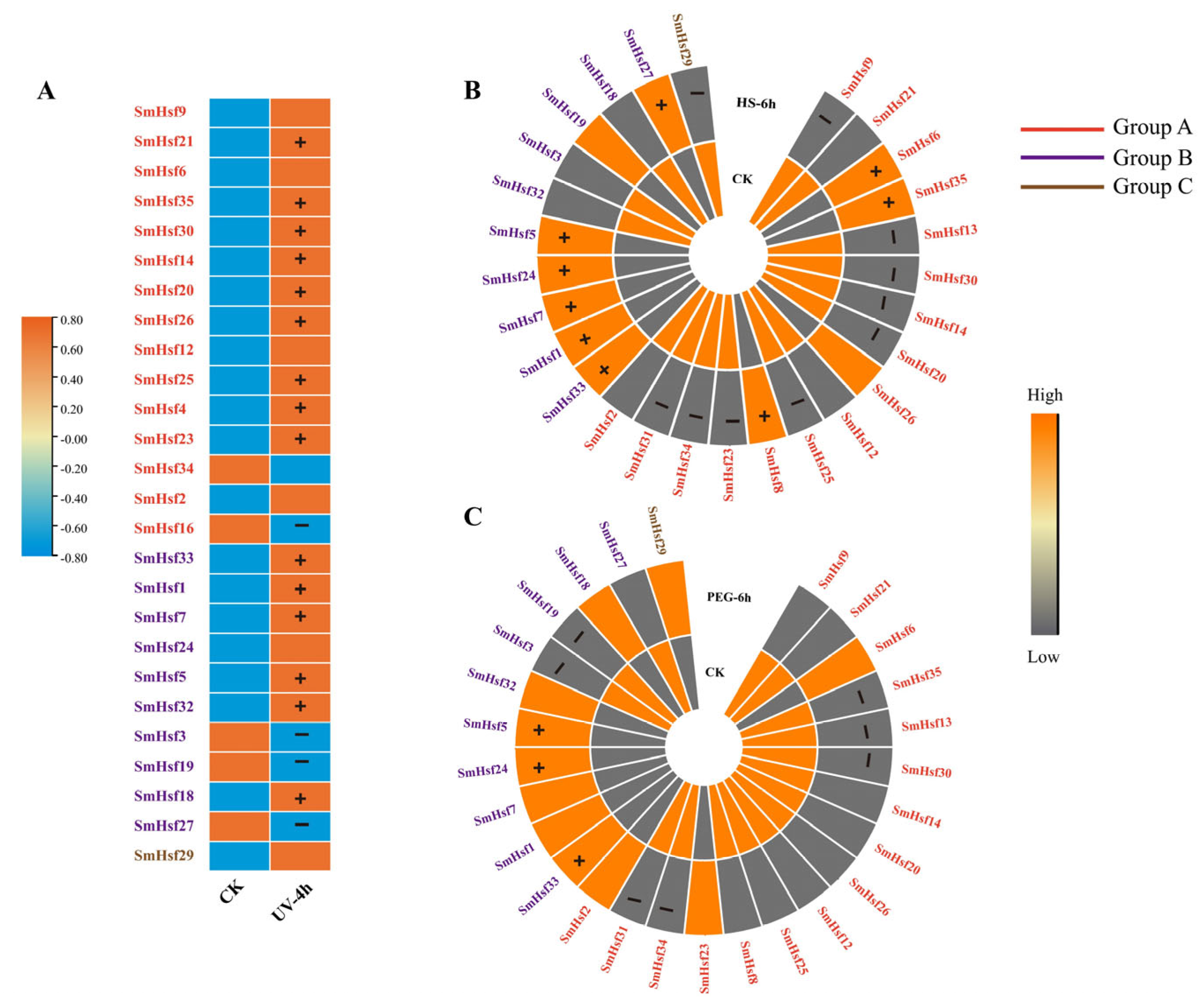 Ijms 24 08461 g010 Ijms 24 08461 g010
