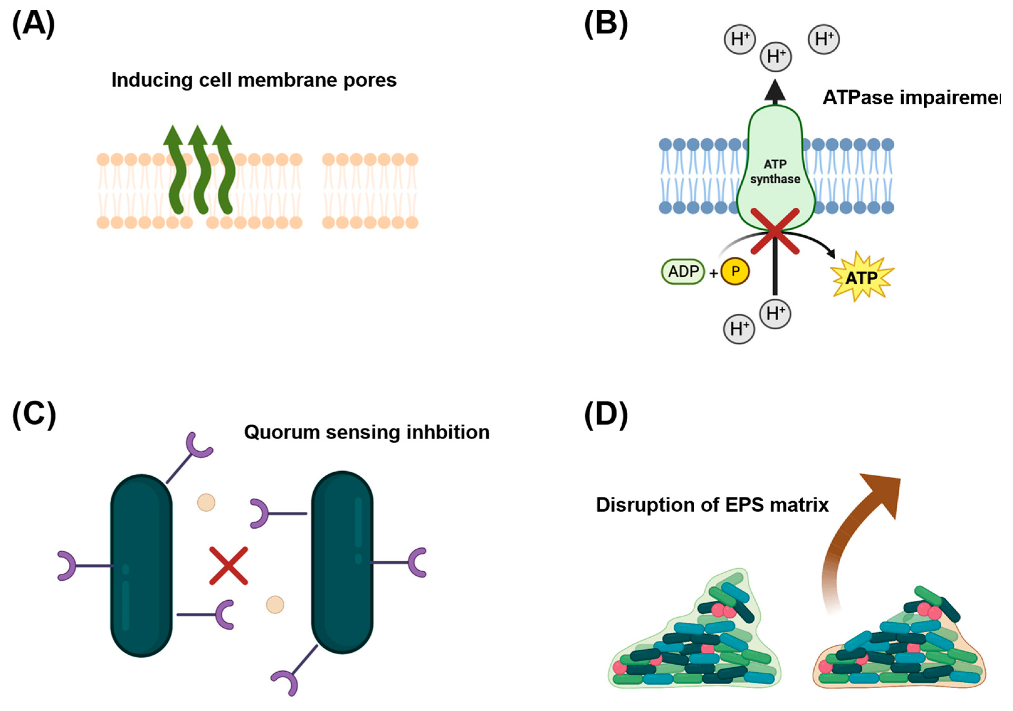 Ijms 24 08492 g004 Ijms 24 08492 g004