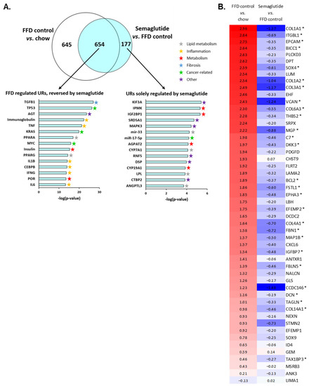 semaglutide nash Semaglutide Has Beneficial Effects on Non-Alcoholic Steatohepatitis in  Ldlr-/-.Leiden Mice