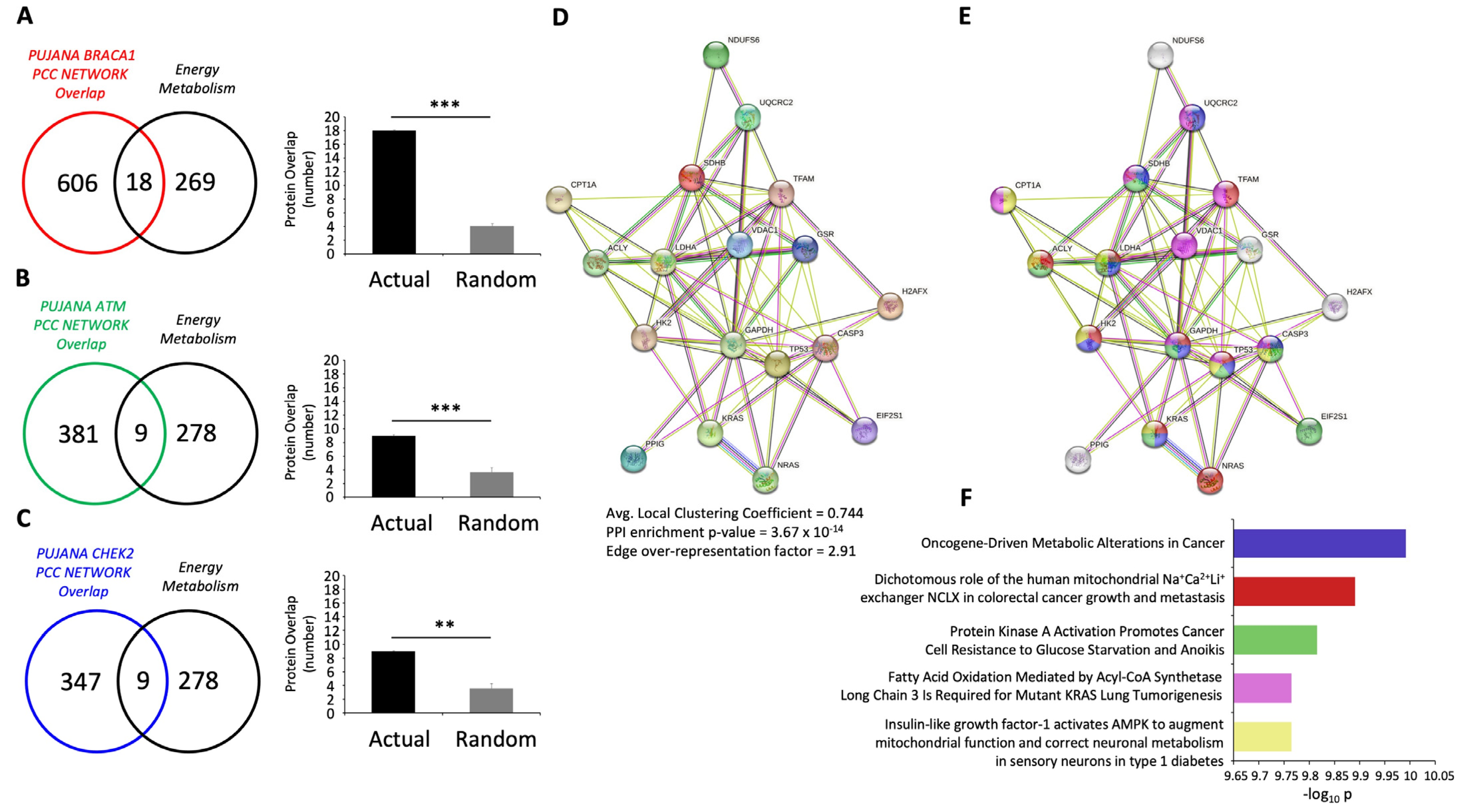 Ijms 24 08499 g003 Ijms 24 08499 g003