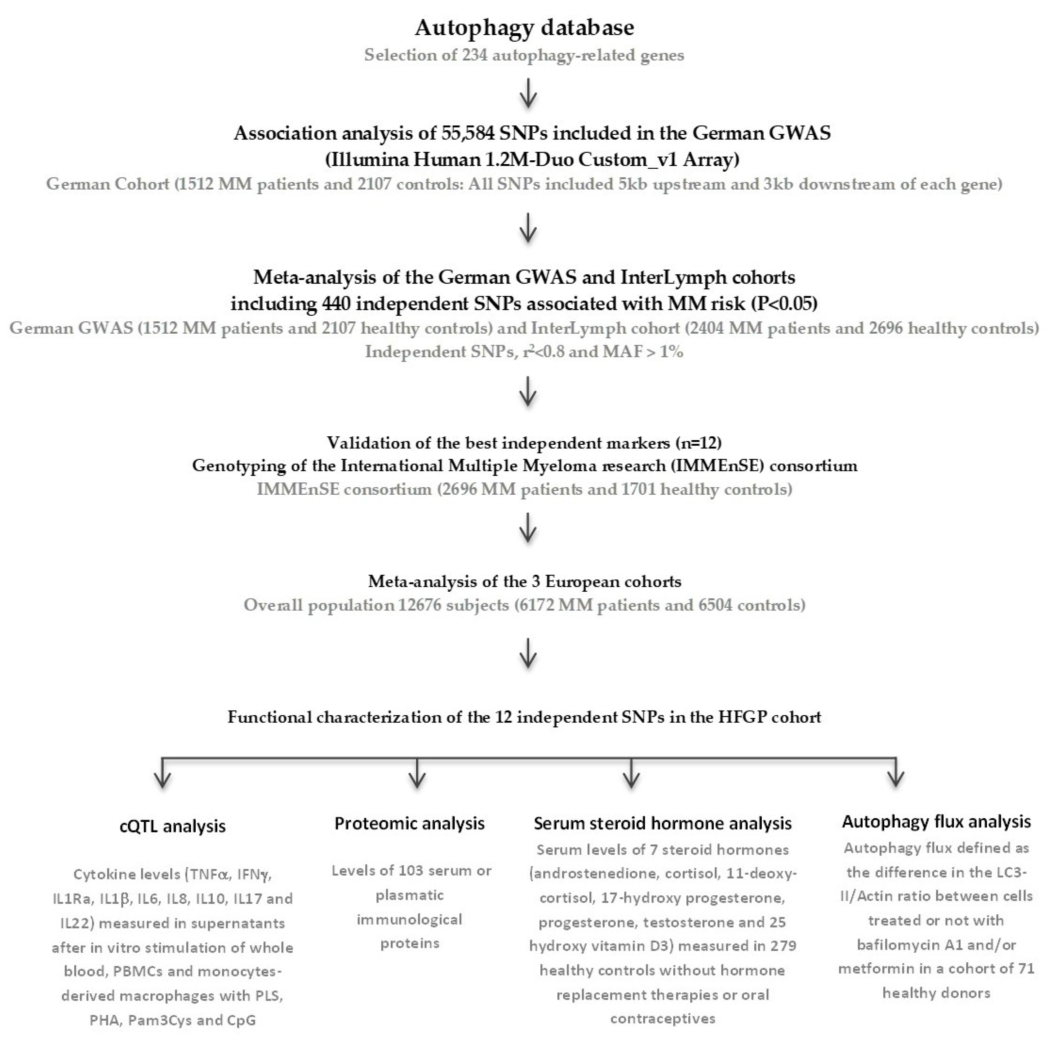 Ijms 24 08500 g004 Ijms 24 08500 g004