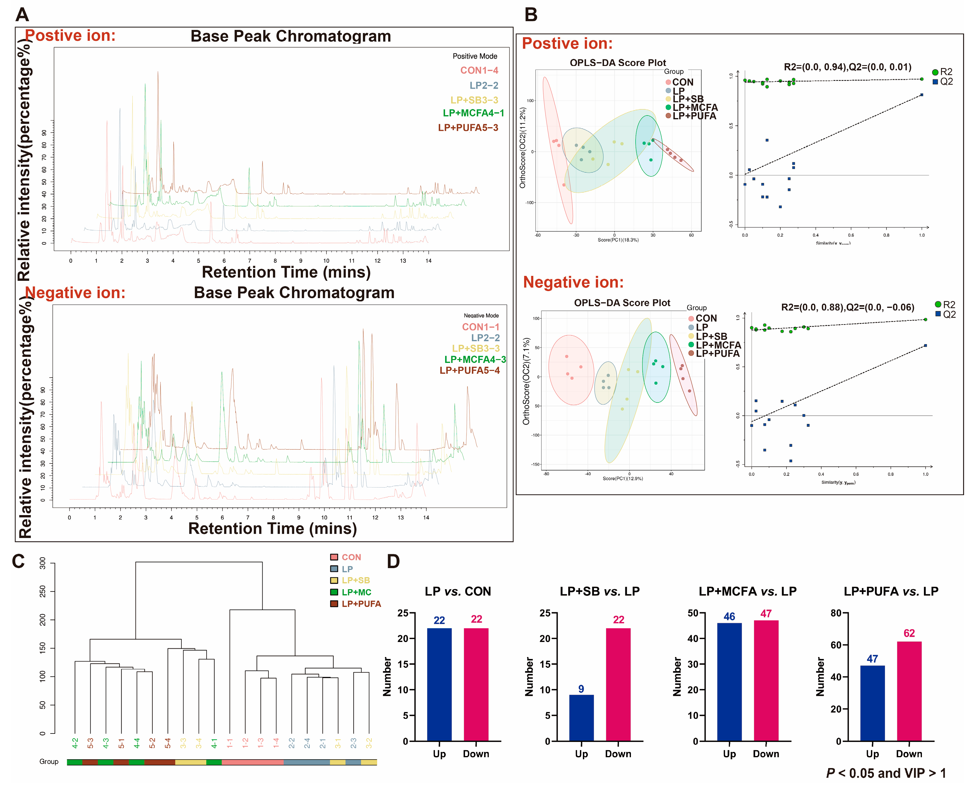 Ijms 24 08501 g001 Ijms 24 08501 g001