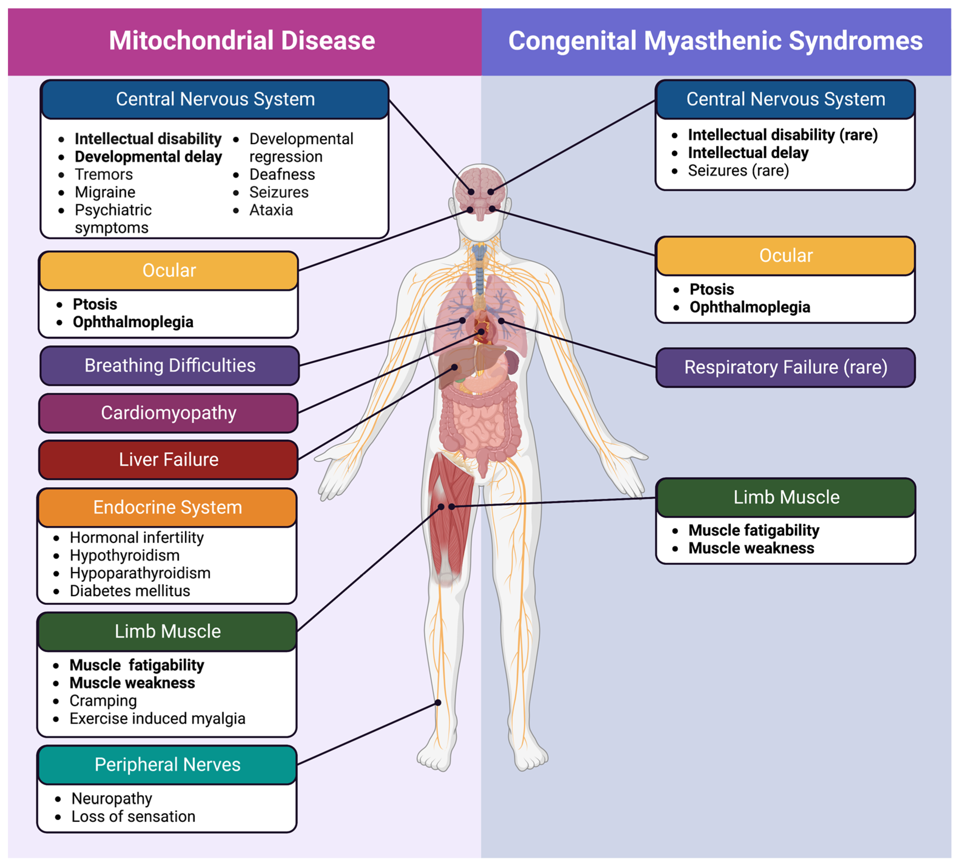Ijms 24 08505 g002 Ijms 24 08505 g002