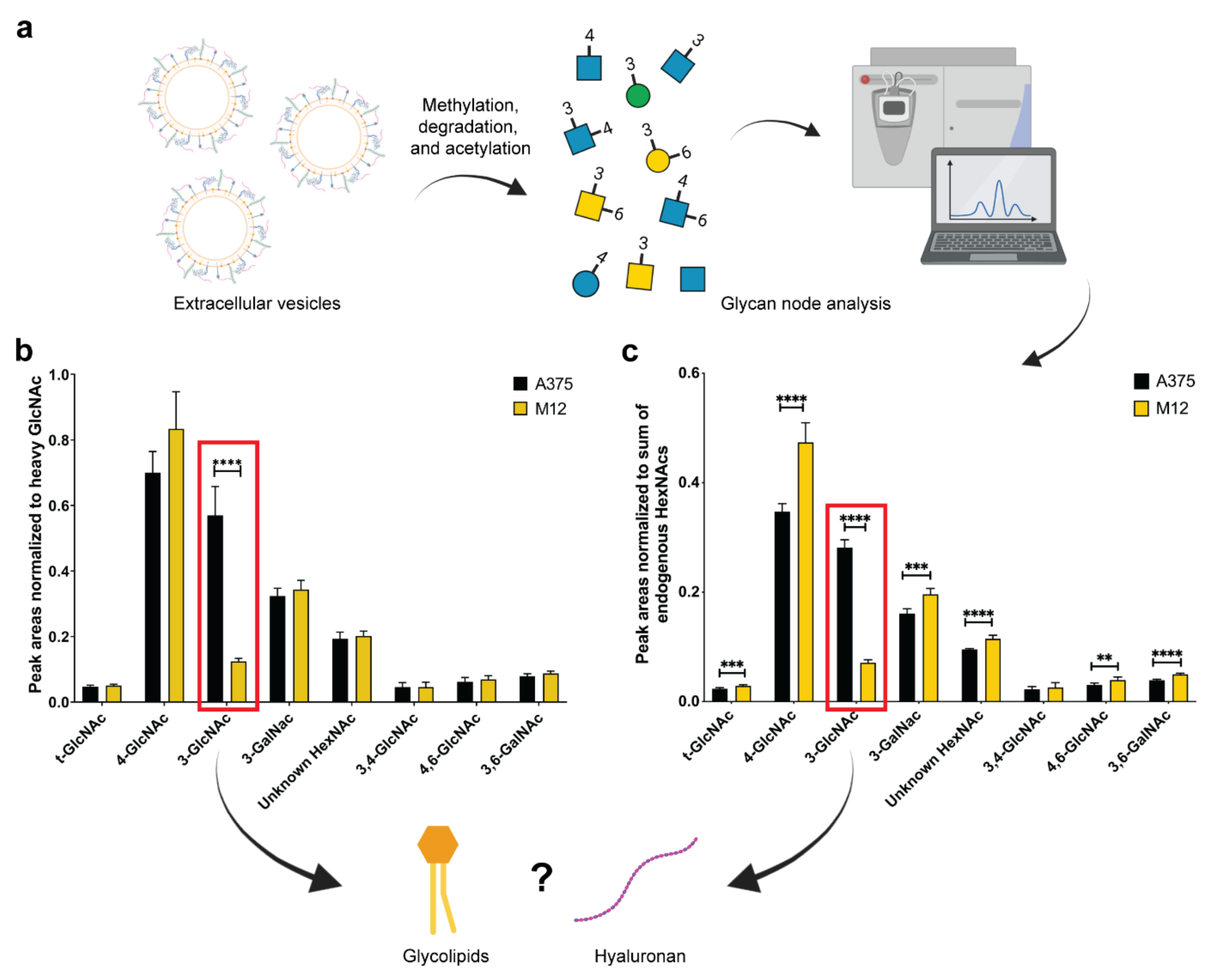 Ijms 24 08506 g003 Ijms 24 08506 g003