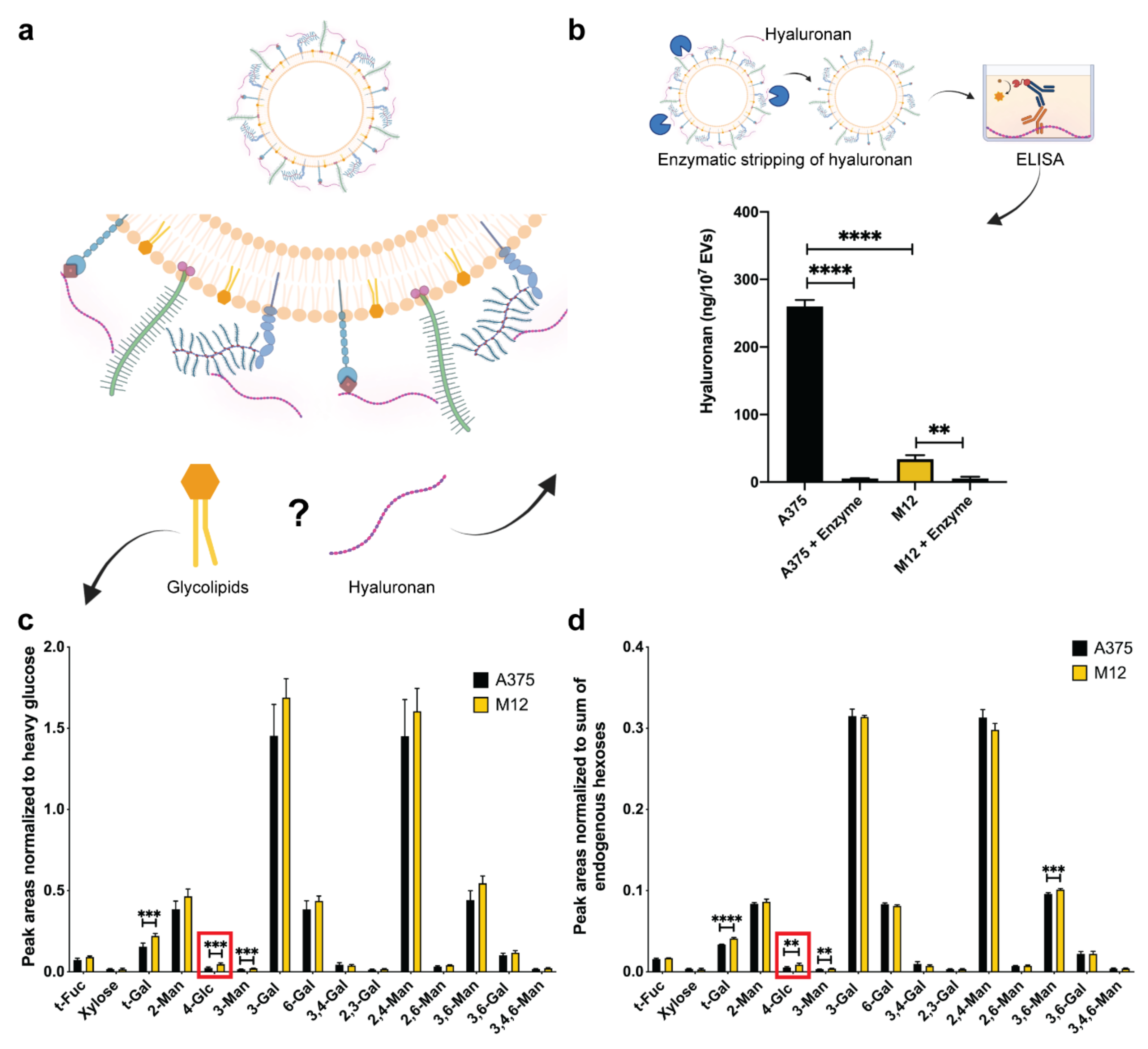 Ijms 24 08506 g004 Ijms 24 08506 g004