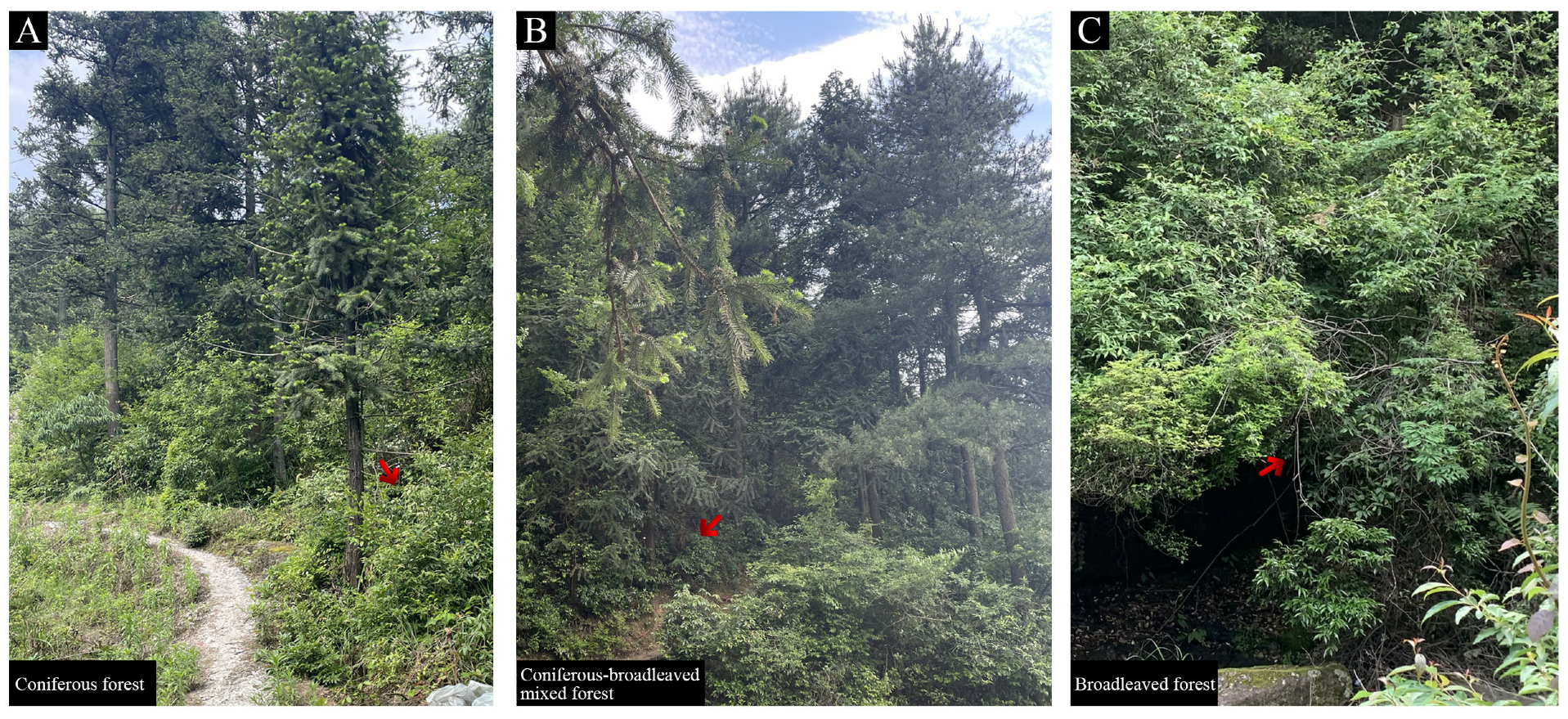 Ijms 24 08510 g001 Ijms 24 08510 g001