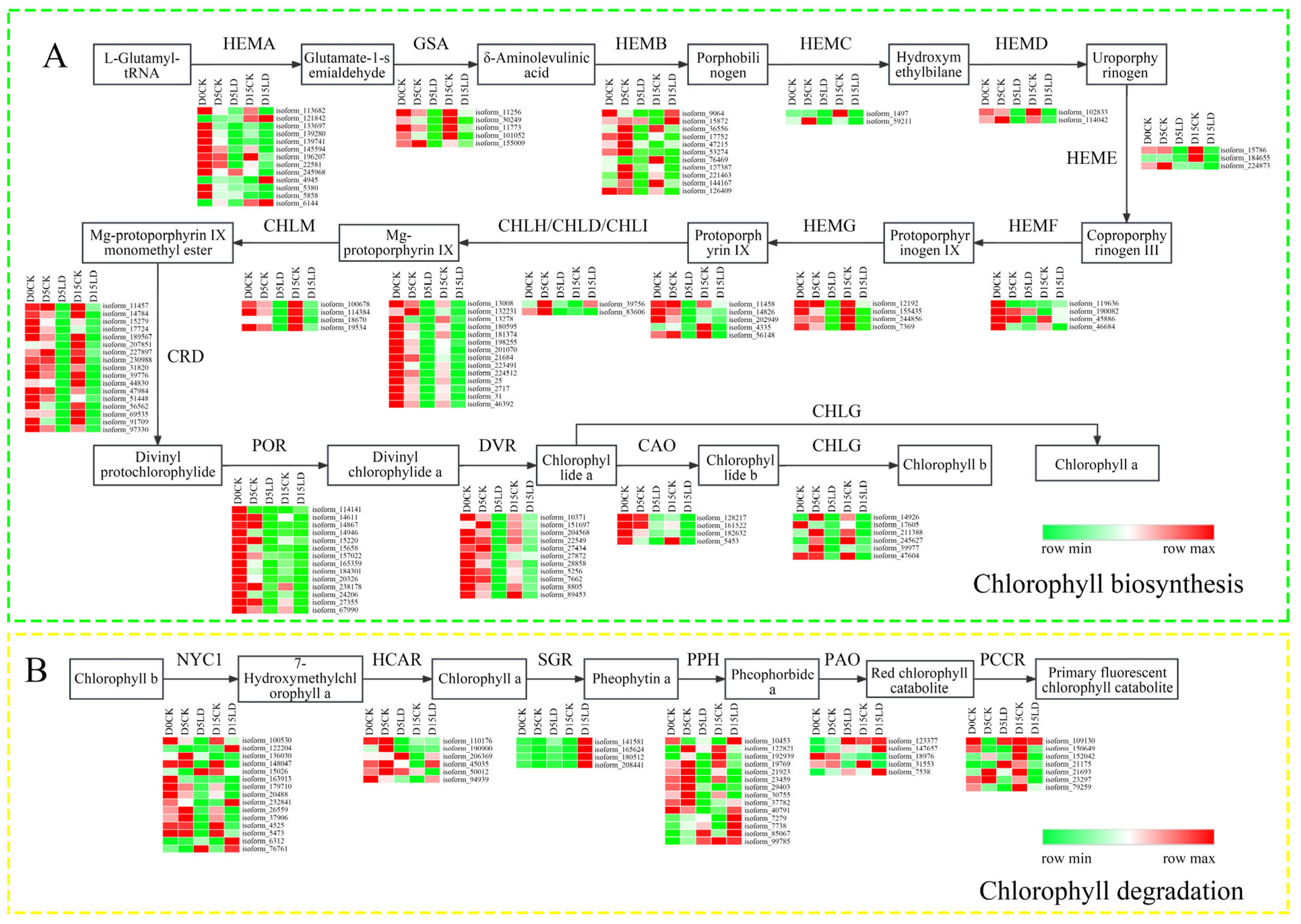 Ijms 24 08510 g003 Ijms 24 08510 g003