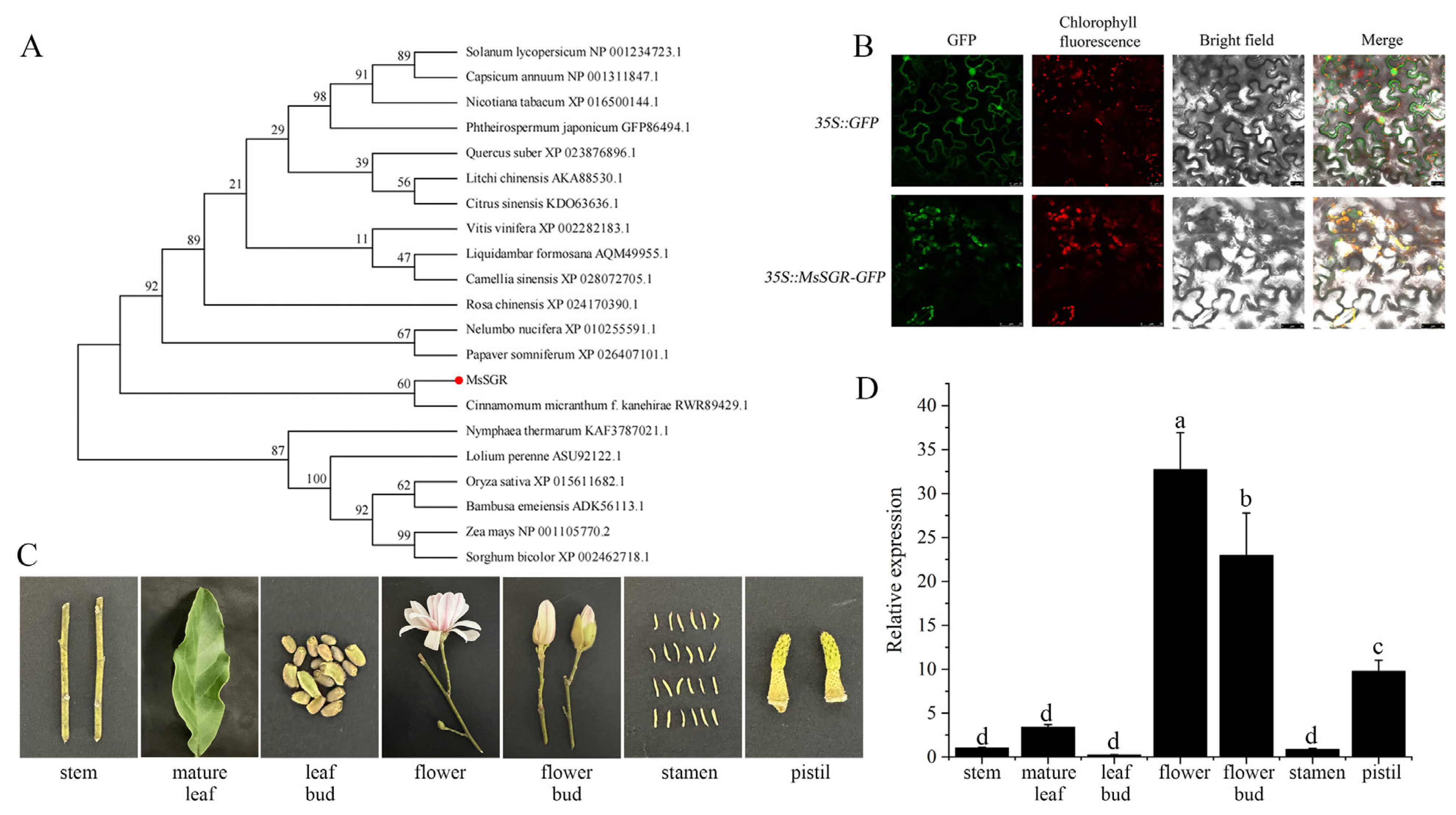 Ijms 24 08510 g005 Ijms 24 08510 g005