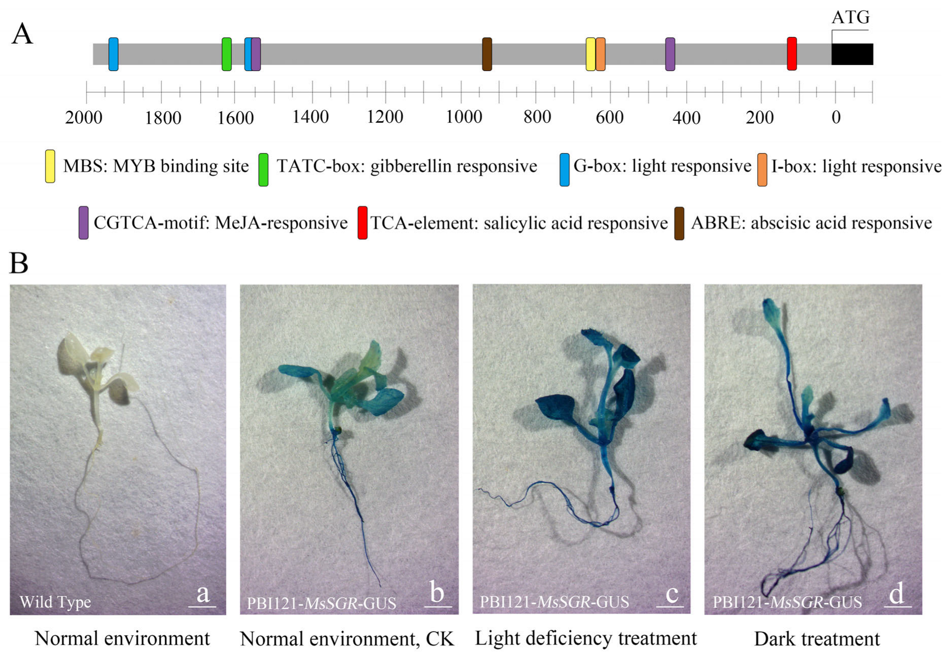 Ijms 24 08510 g007 Ijms 24 08510 g007