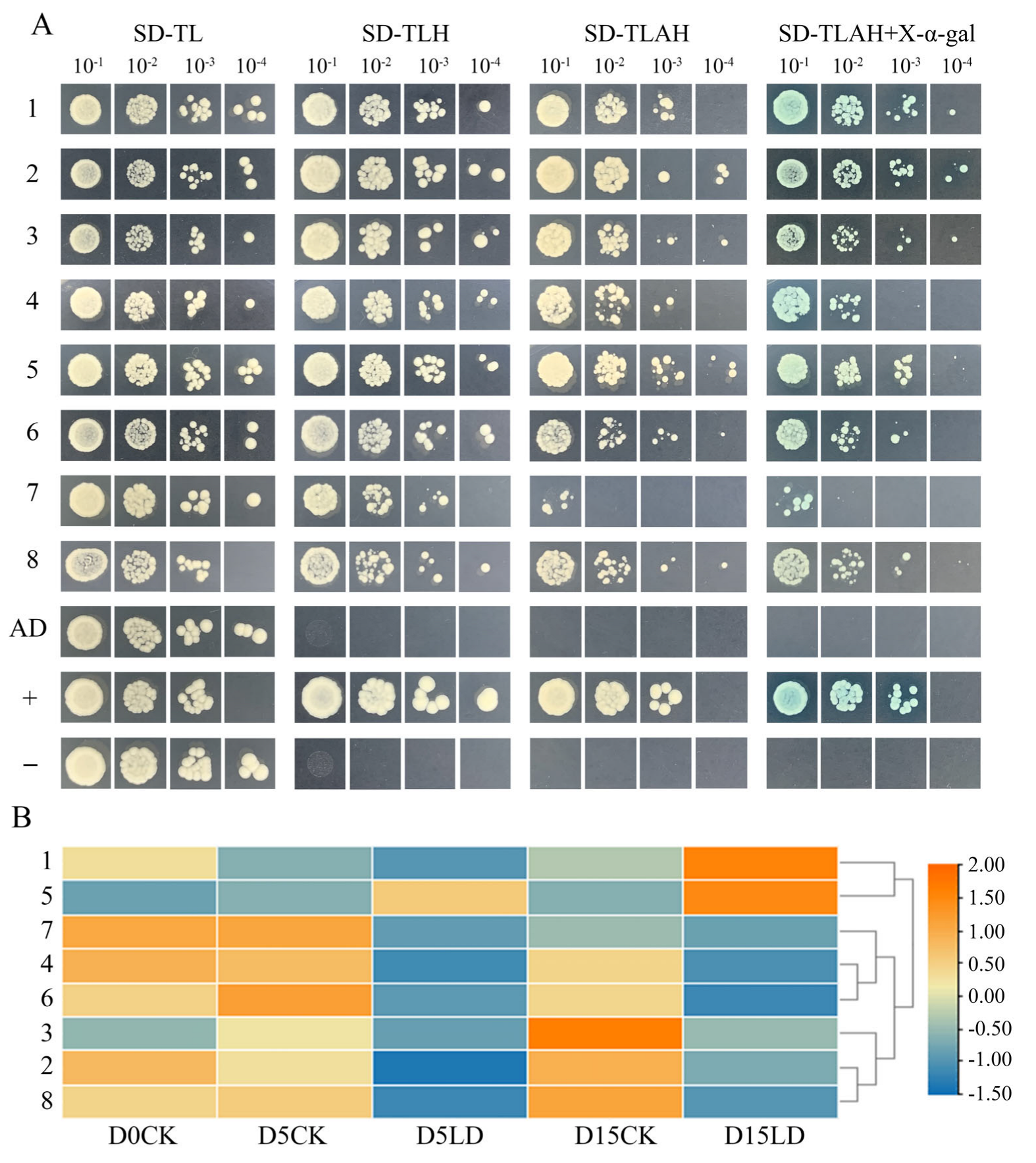 Ijms 24 08510 g008 Ijms 24 08510 g008