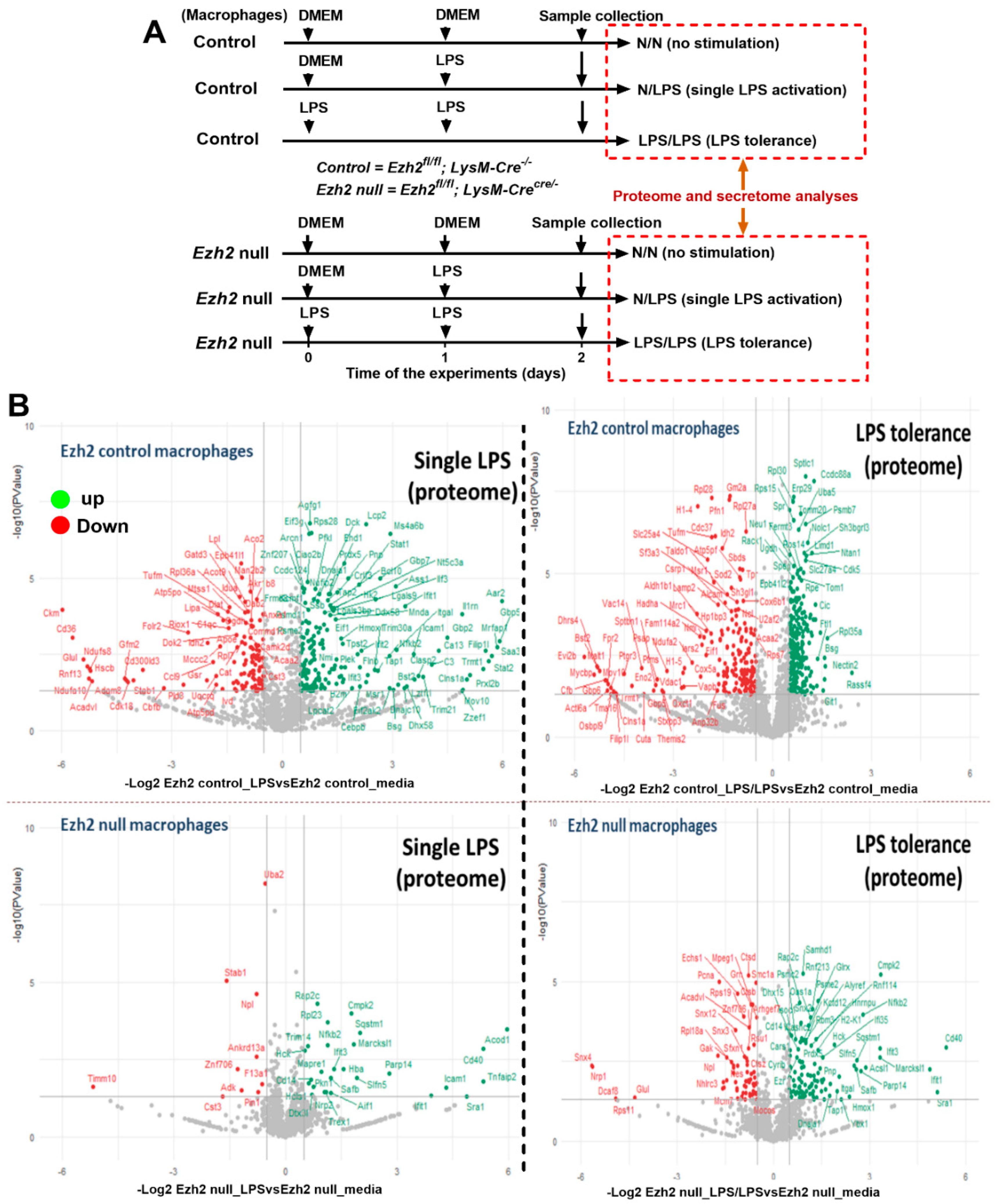 Ijms 24 08517 g001 Ijms 24 08517 g001