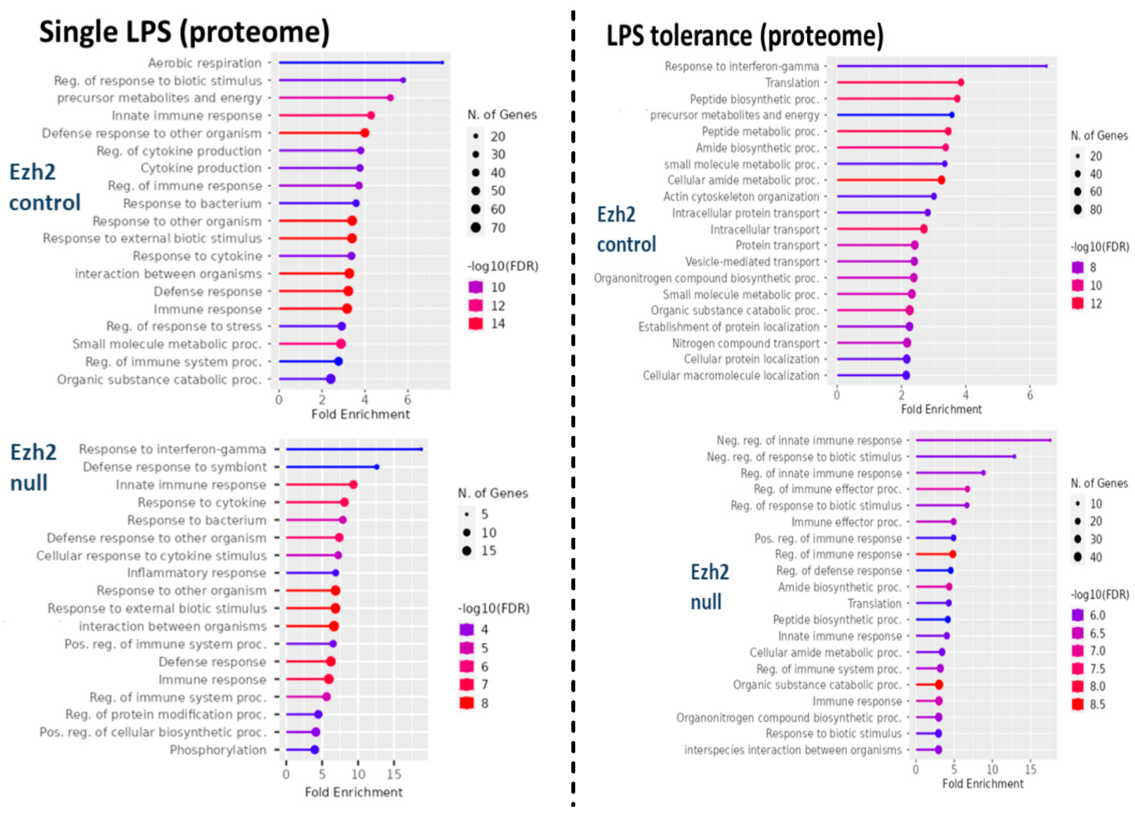 Ijms 24 08517 g002 Ijms 24 08517 g002