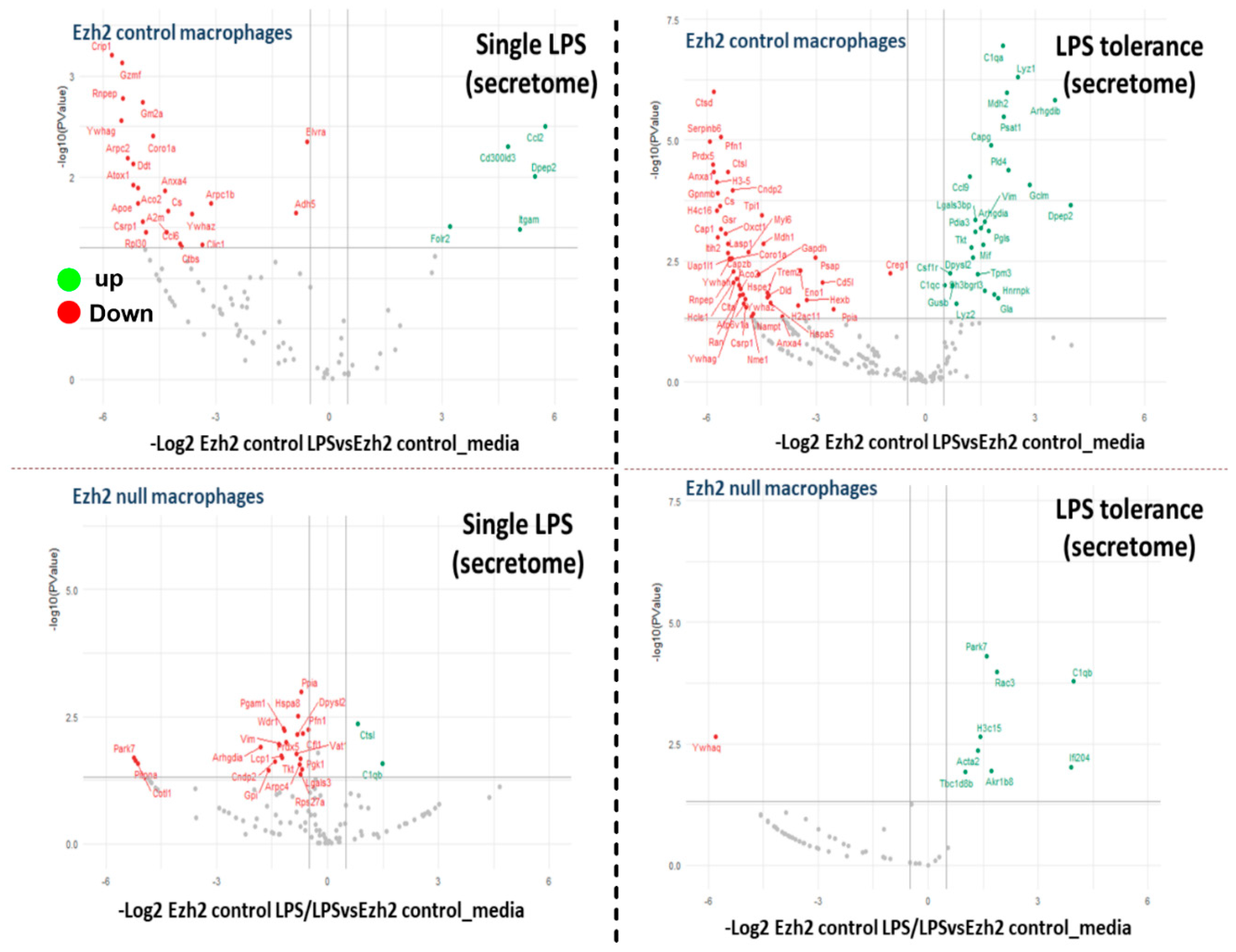 Ijms 24 08517 g004 Ijms 24 08517 g004
