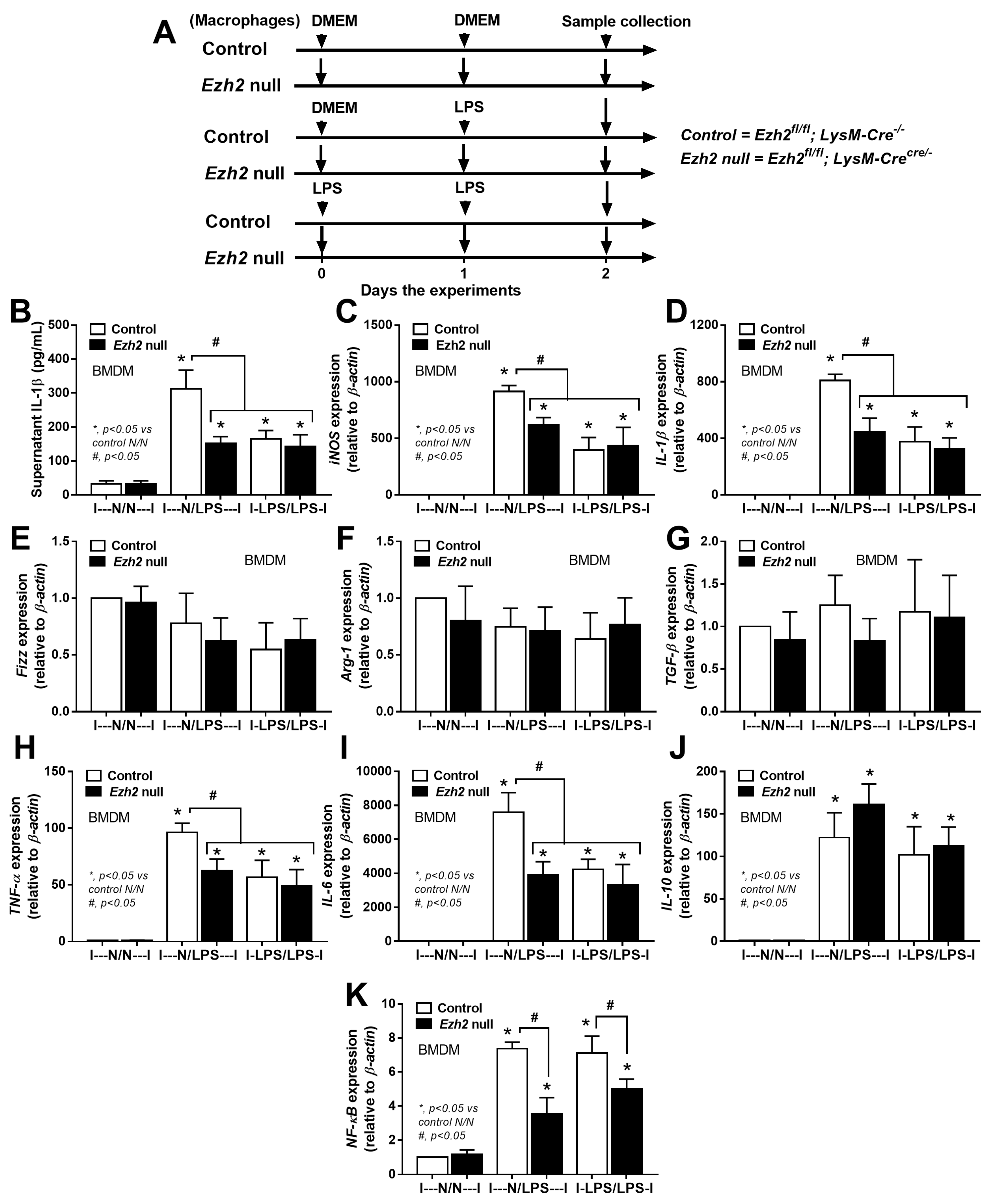 Evaluation of a Reliable Biomarker in a Cecal Ligation and Puncture-Induced  Mouse Model of Sepsis