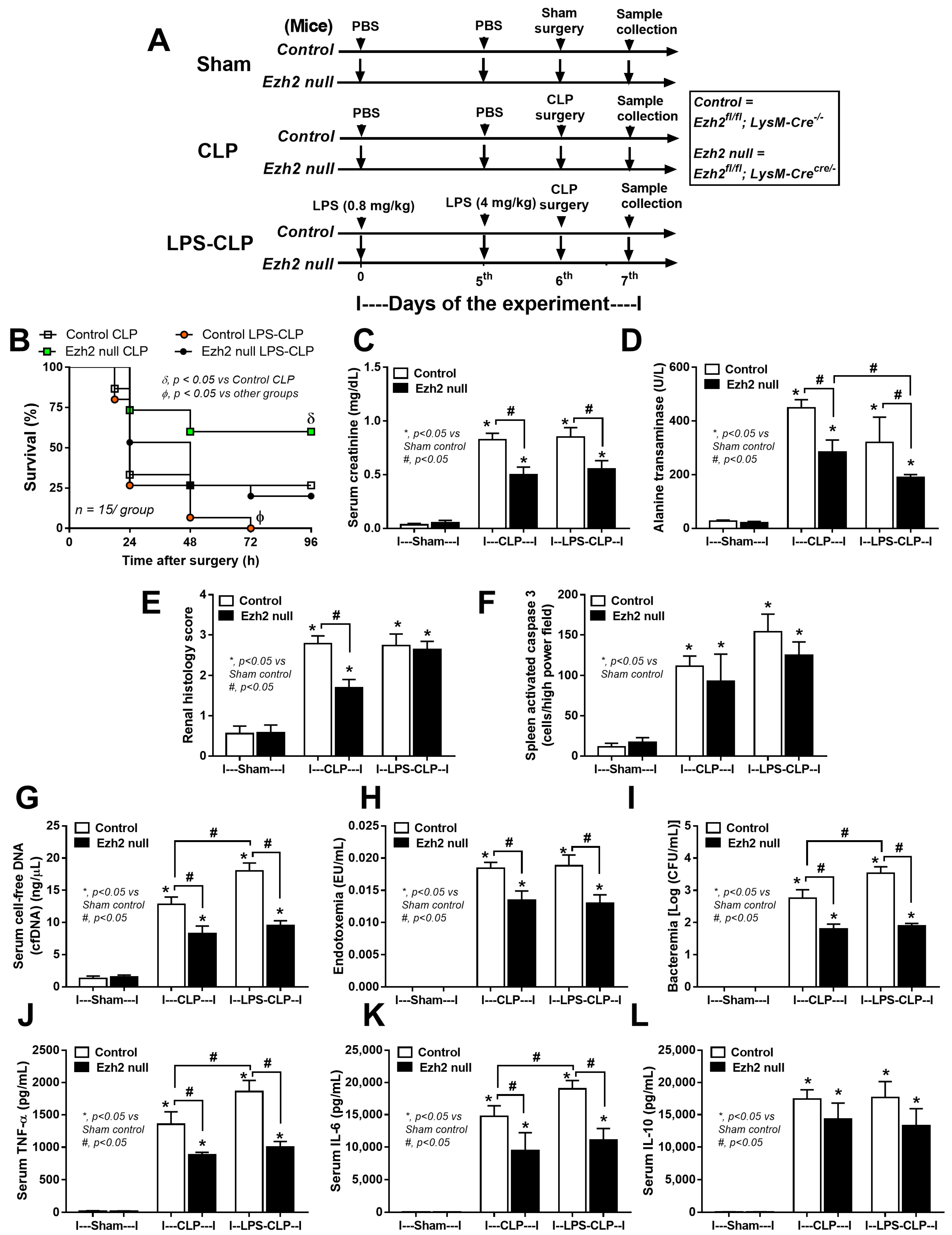 Ijms 24 08517 g007 Ijms 24 08517 g007