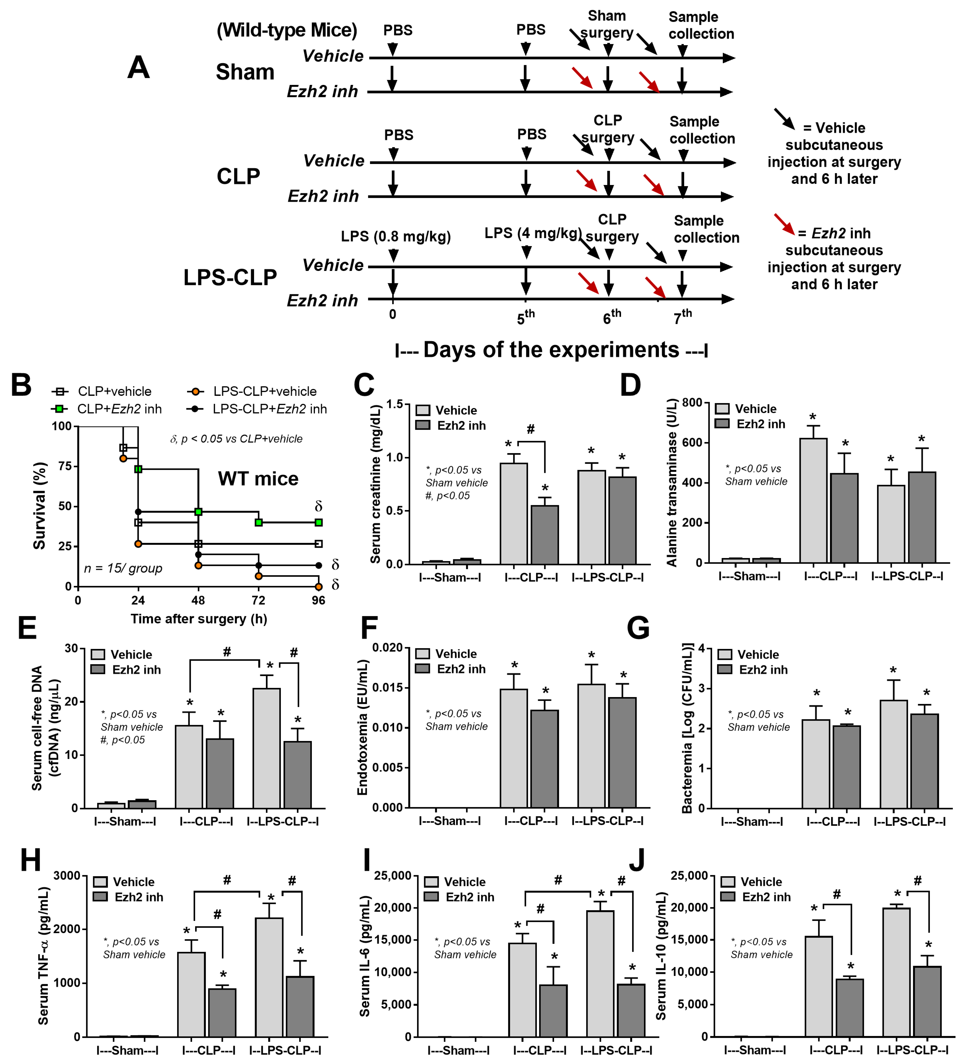 Ijms 24 08517 g009 Ijms 24 08517 g009
