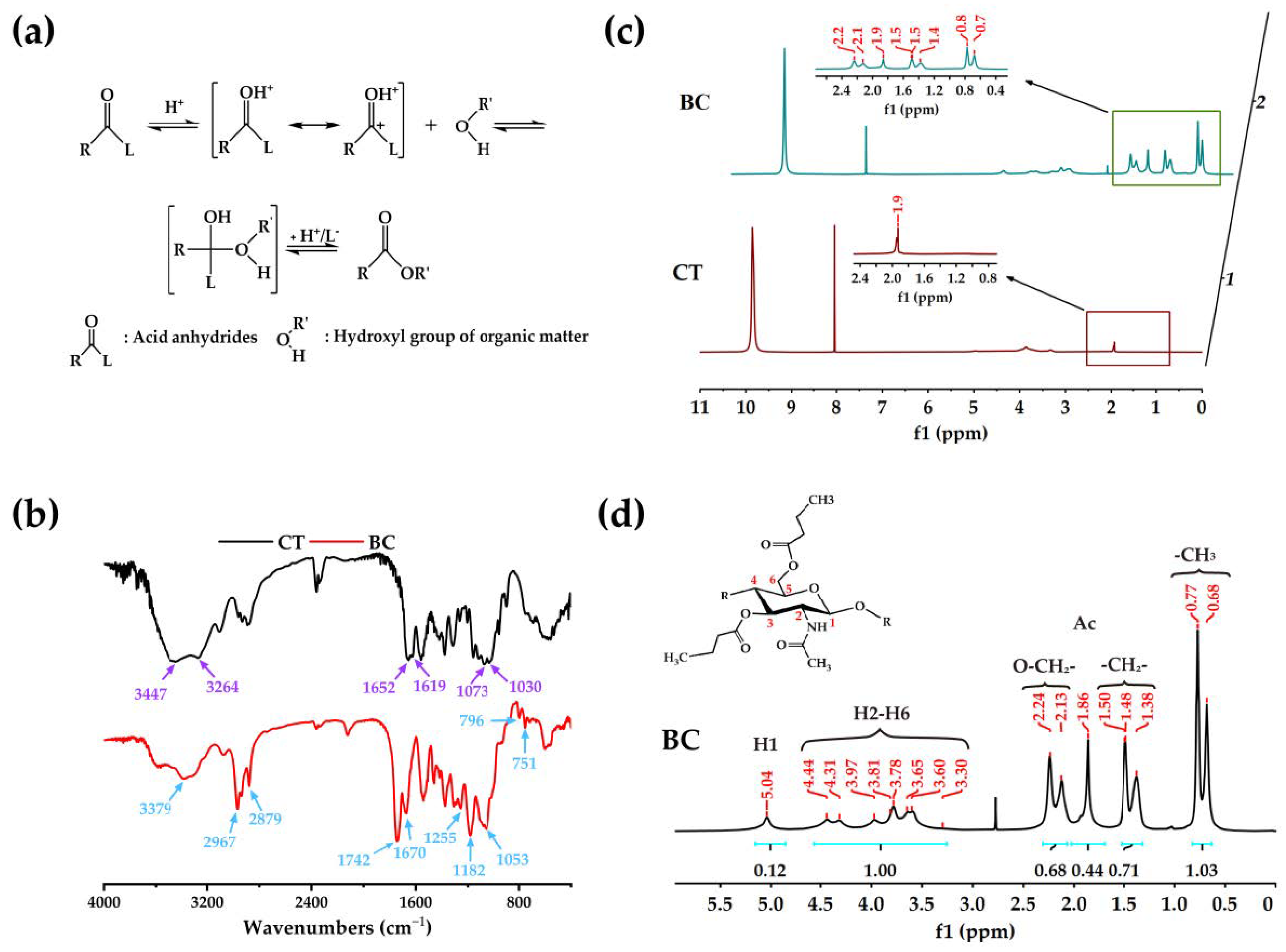 Ijms 24 08519 g001 Ijms 24 08519 g001