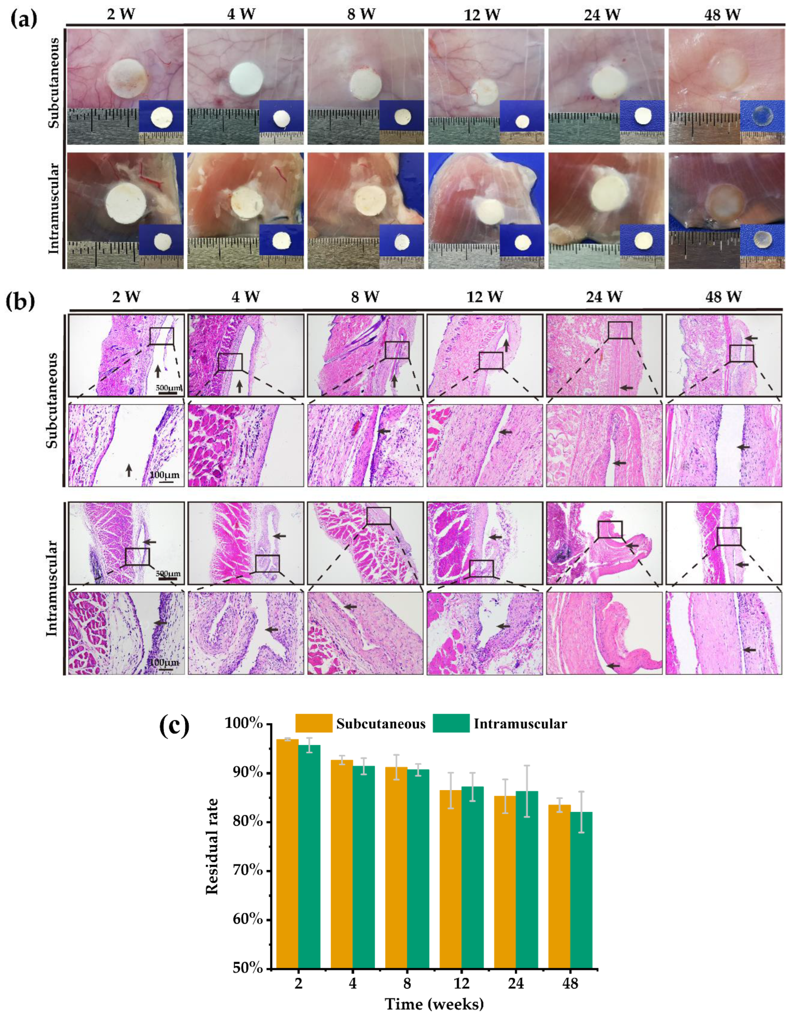 Ijms 24 08519 g005 Ijms 24 08519 g005