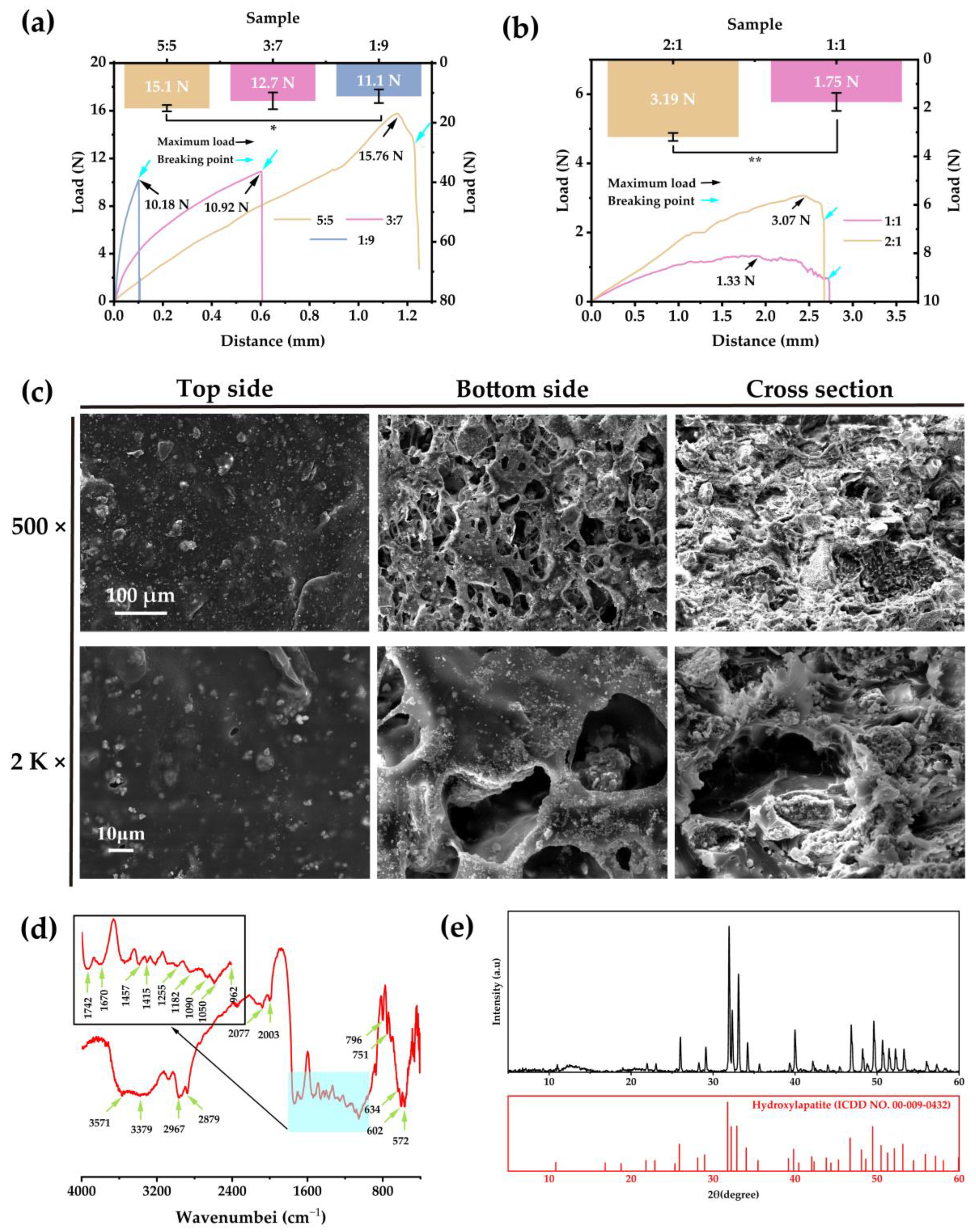 Ijms 24 08519 g006 Ijms 24 08519 g006