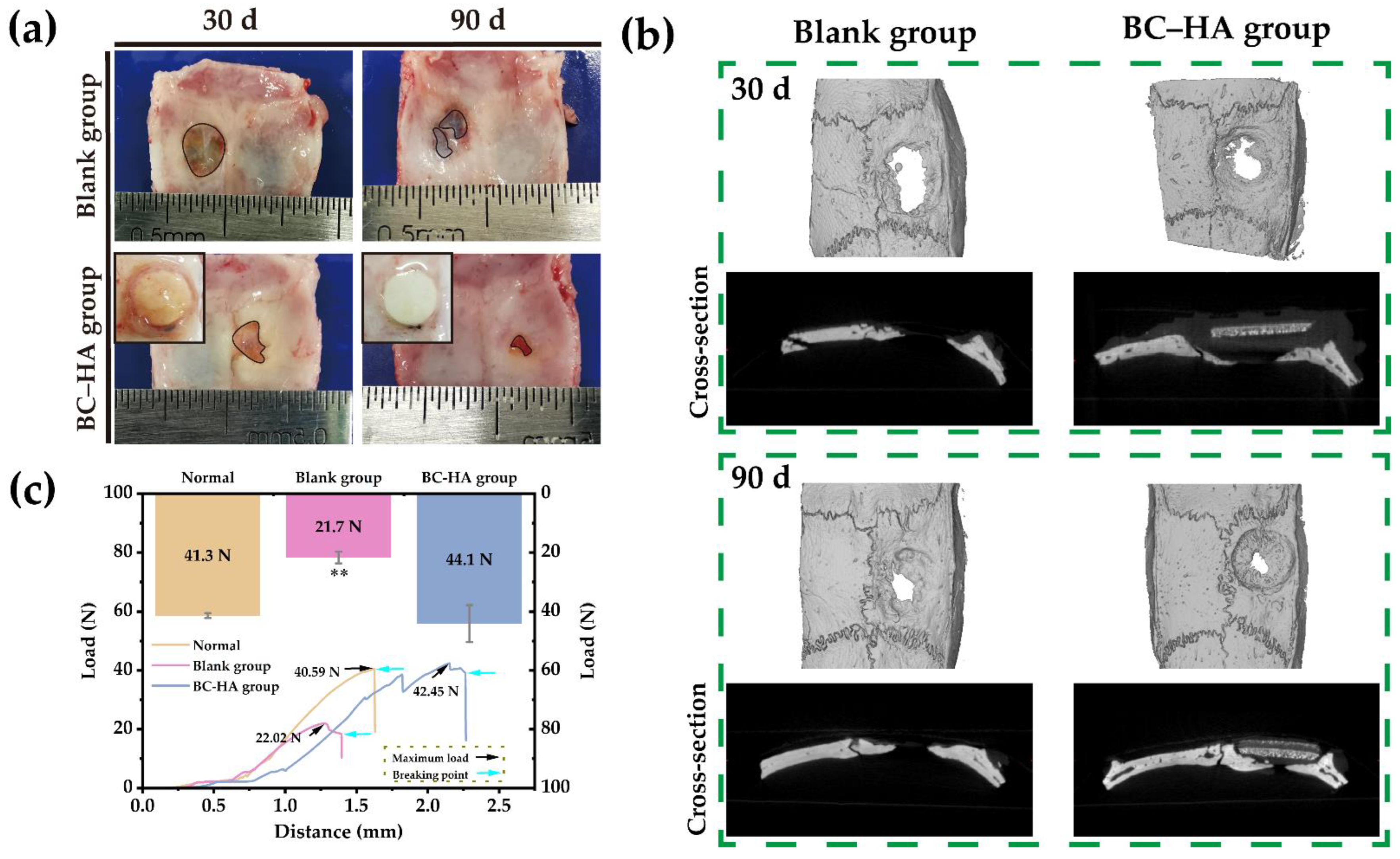 Ijms 24 08519 g007 Ijms 24 08519 g007