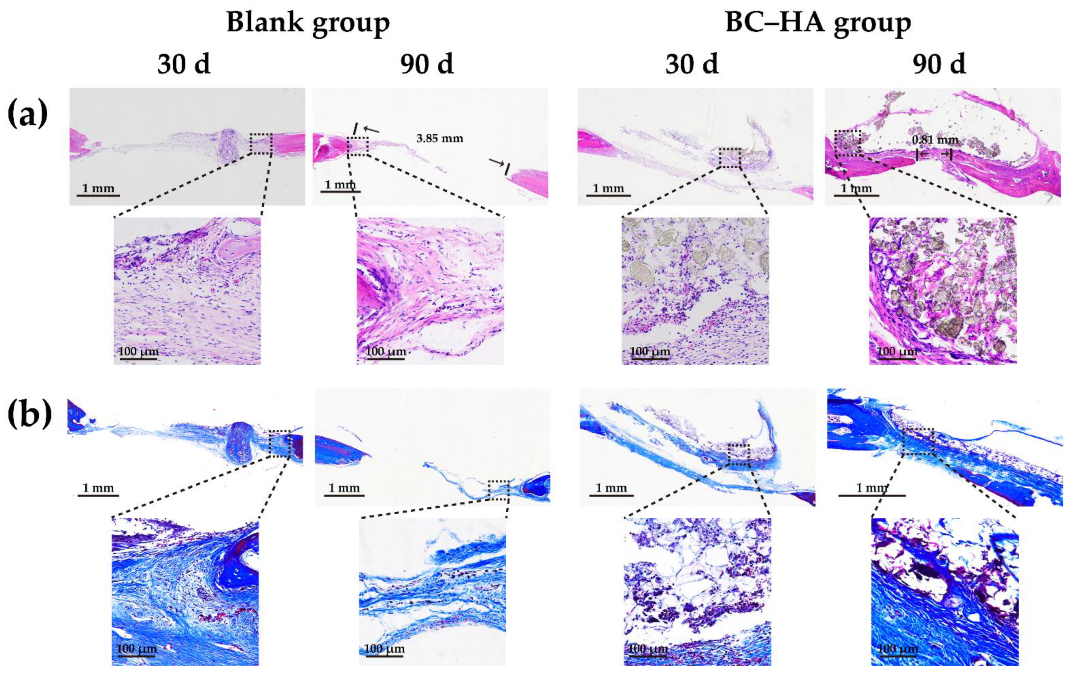 Ijms 24 08519 g008 Ijms 24 08519 g008