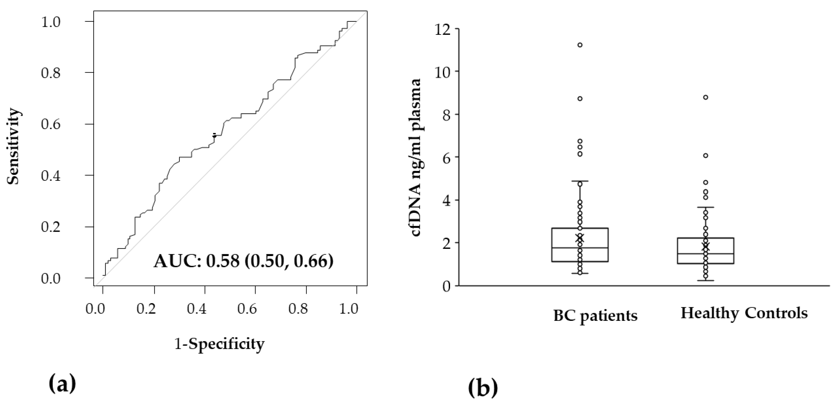 Ijms 24 08520 g004 Ijms 24 08520 g004
