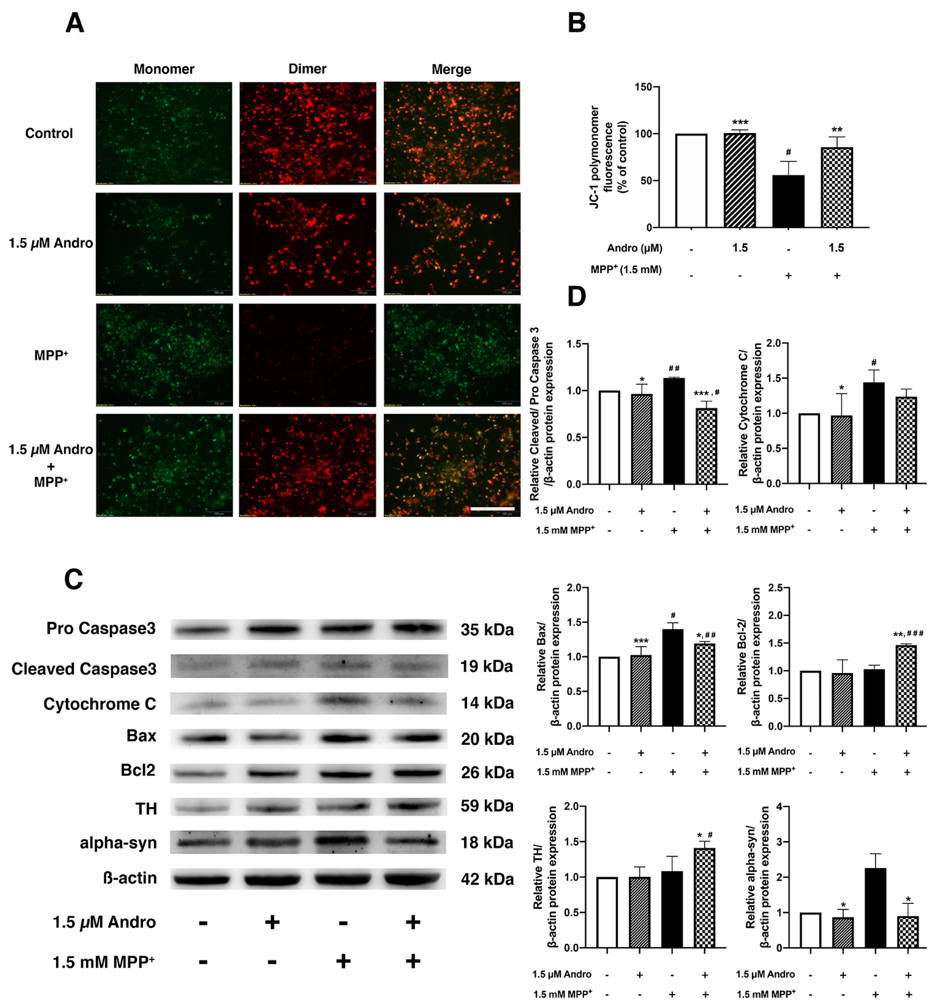 Ijms 24 08528 g002 Ijms 24 08528 g002