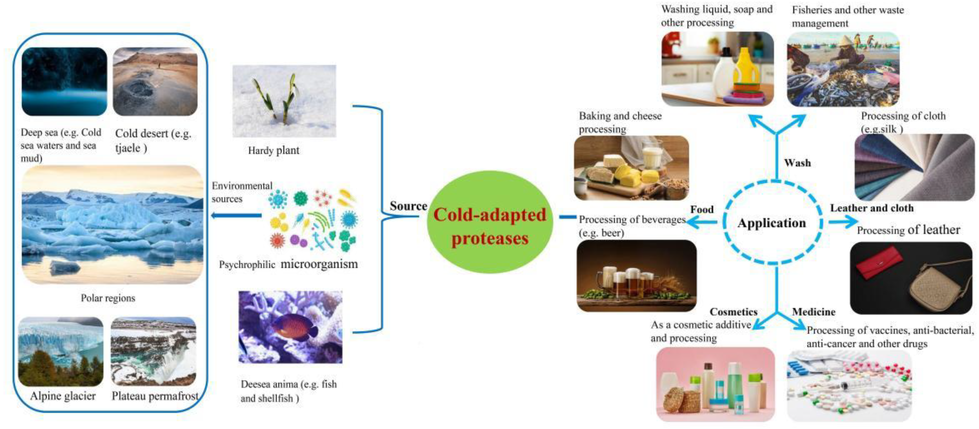 Ijms 24 08532 g001 Ijms 24 08532 g001