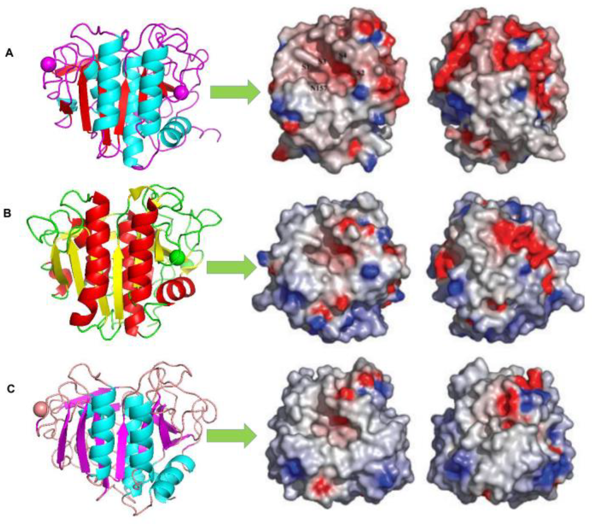 Ijms 24 08532 g002 Ijms 24 08532 g002