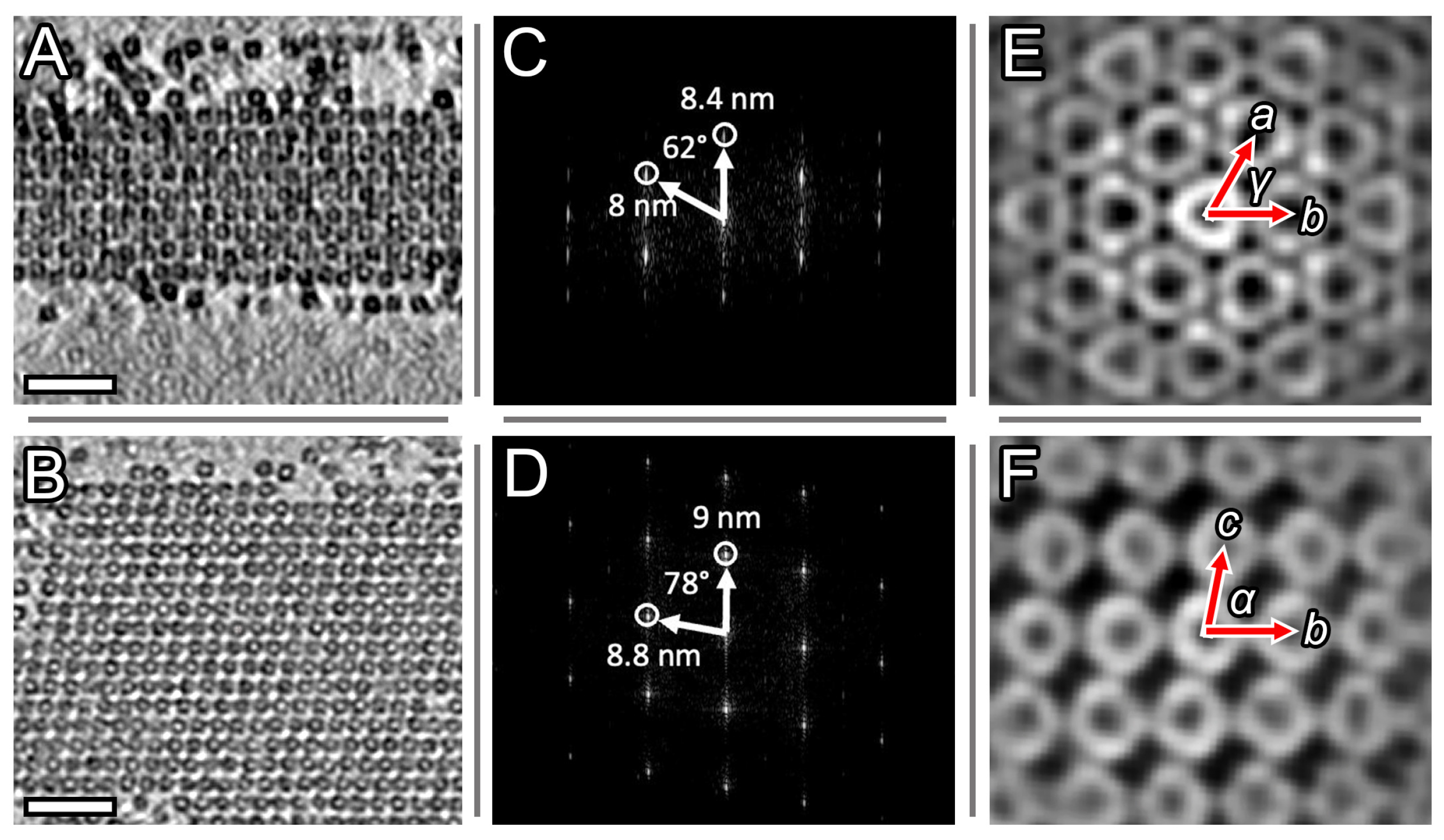 Ijms 24 08534 g002 Ijms 24 08534 g002