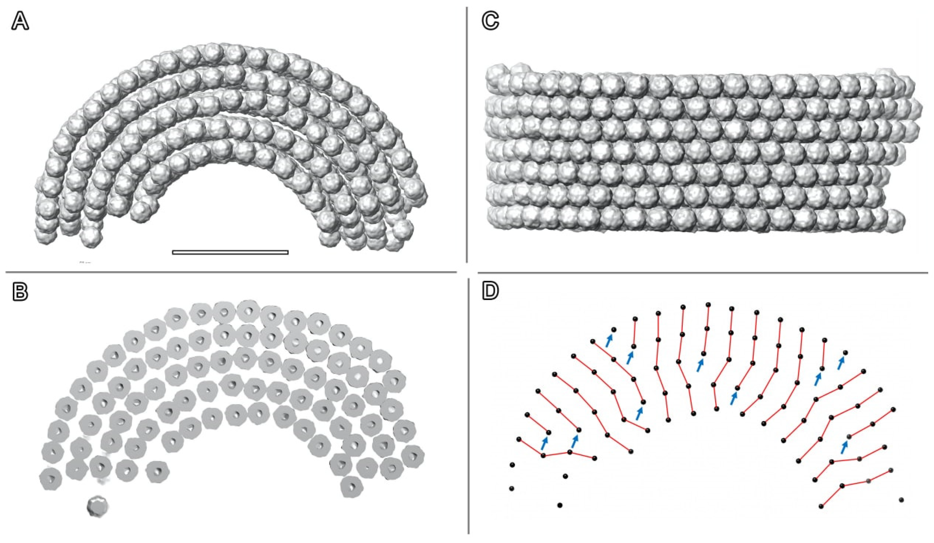 Ijms 24 08534 g006 Ijms 24 08534 g006