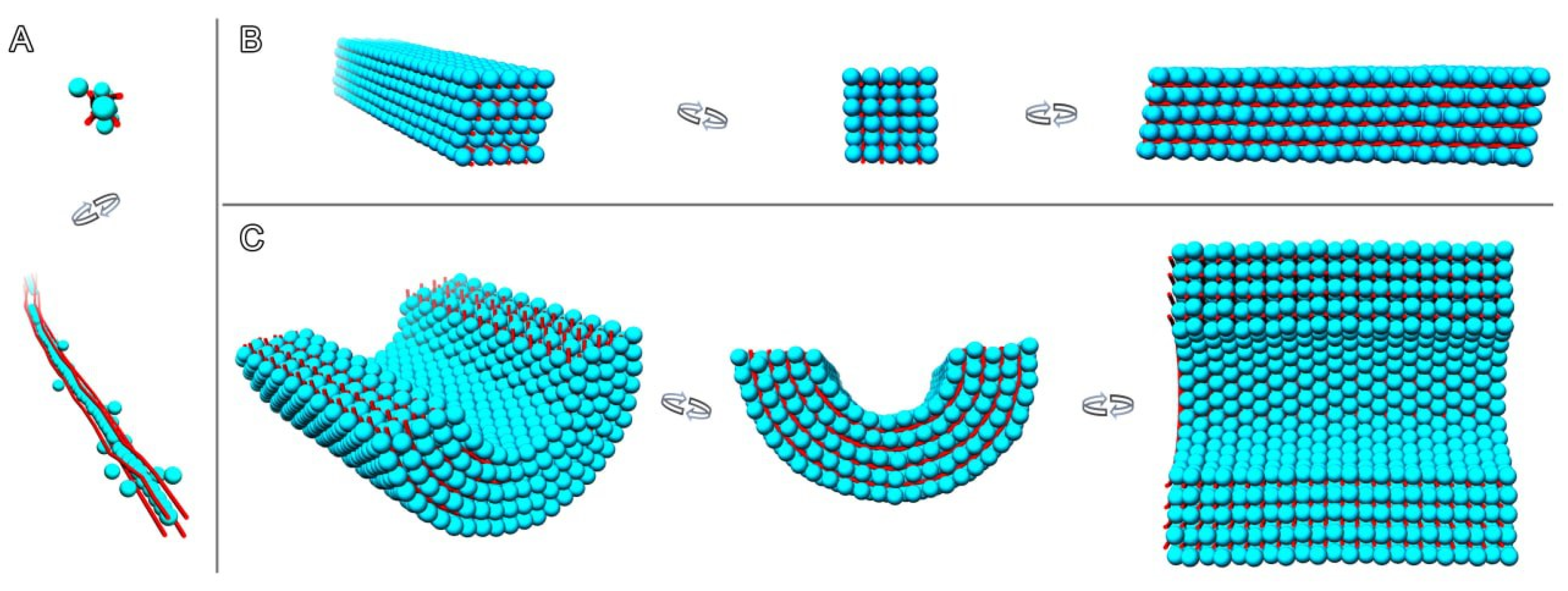 Ijms 24 08534 g008 Ijms 24 08534 g008